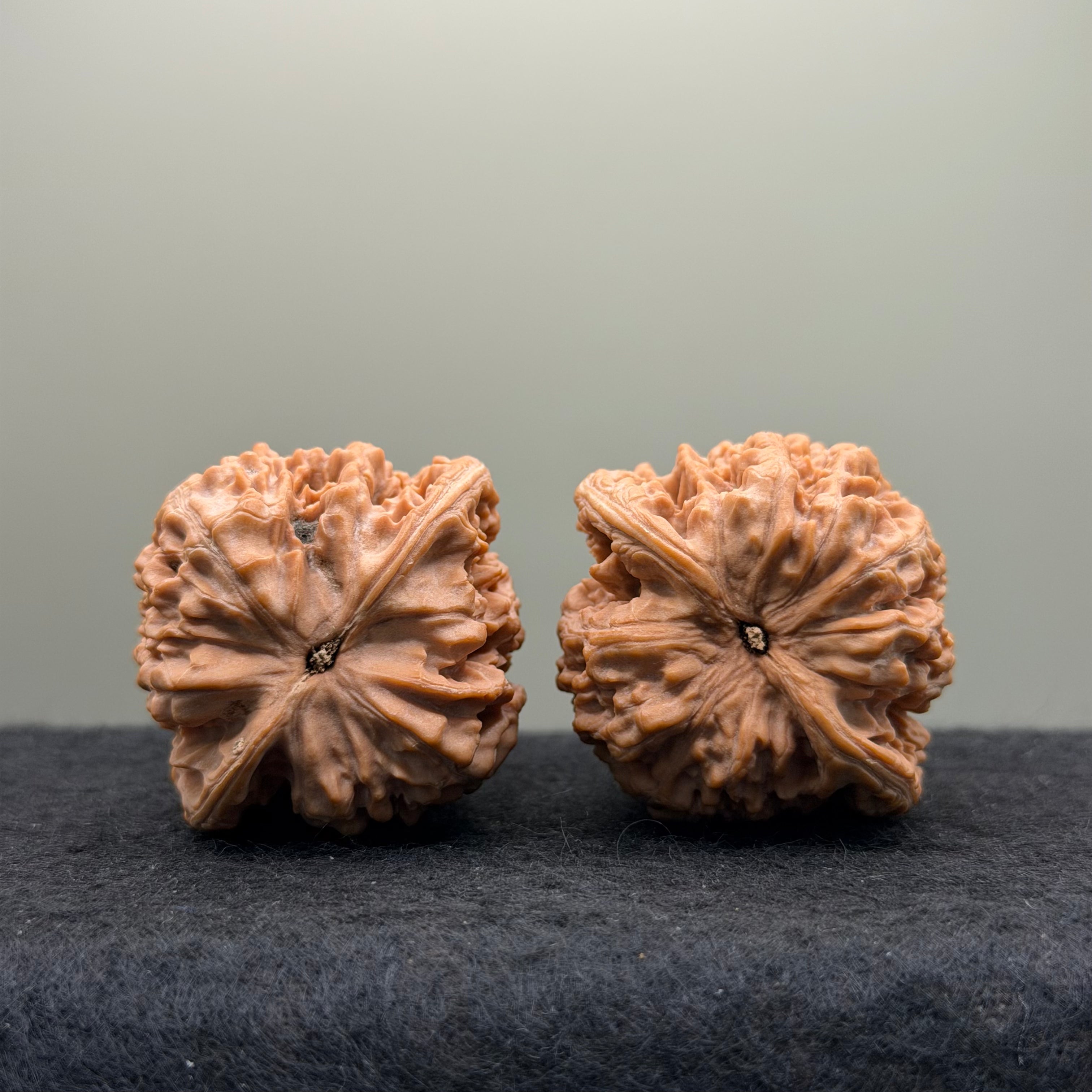 Kirin Pattern Wenwan Walnut