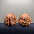 Pinggu Concave Base Wenwan Walnut · 35mm · Natural · Premium Ritual