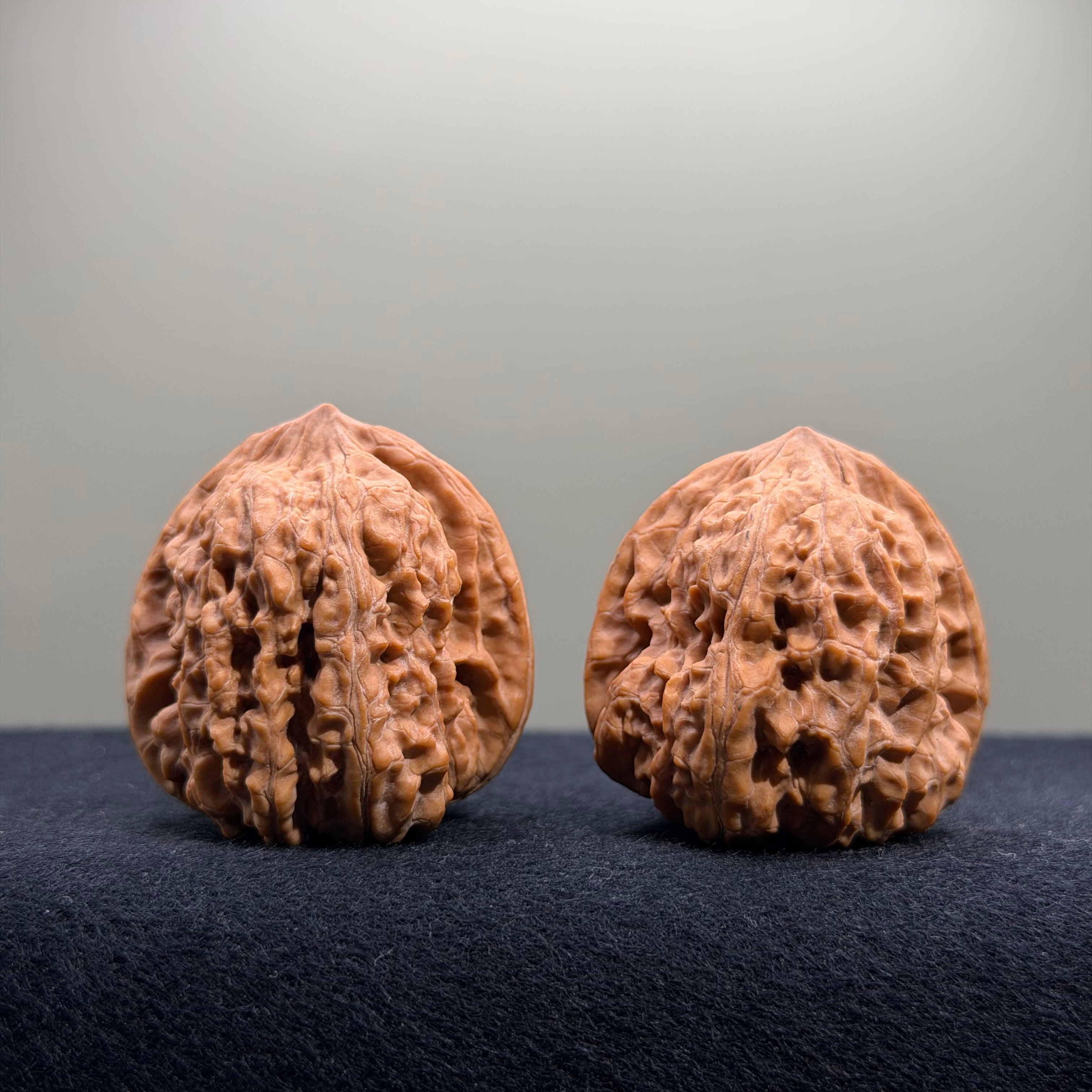 Pinggu Concave Base Wenwan Walnut · 35mm · Natural · Premium Ritual