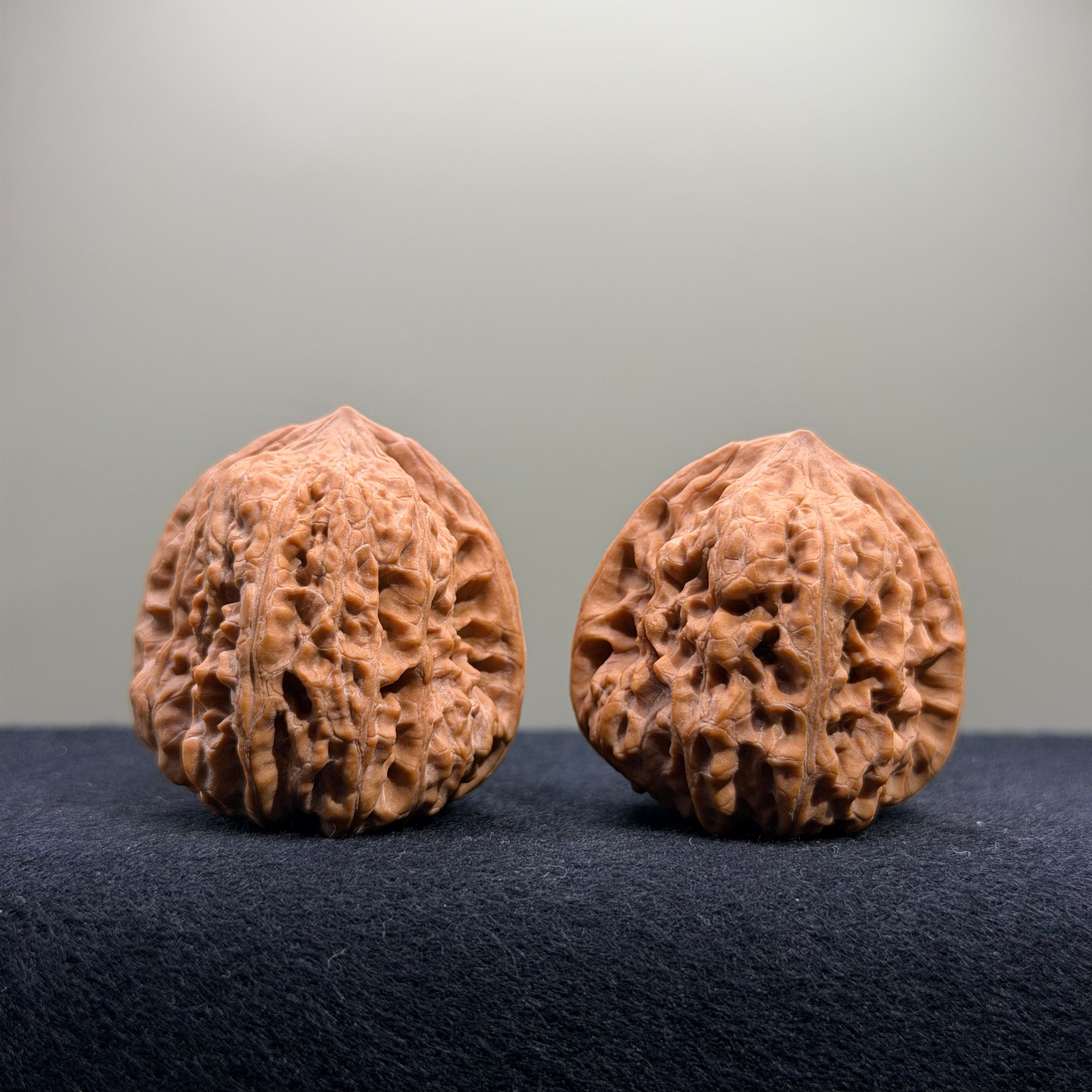 Pinggu Concave Base Wenwan Walnut · 35mm · Natural · Premium Ritual