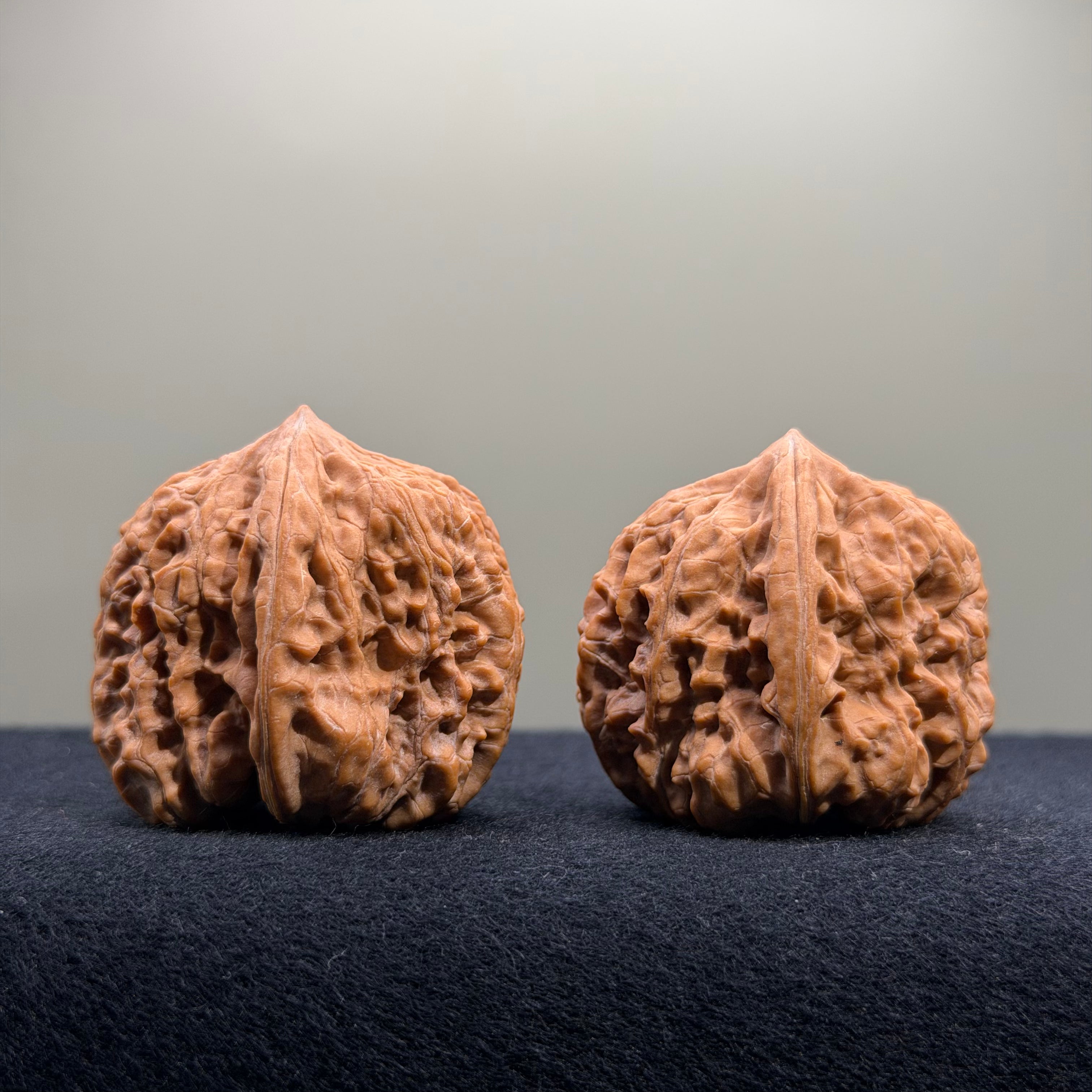 Pinggu Concave Base Wenwan Walnut · 35mm · Natural · Premium Ritual