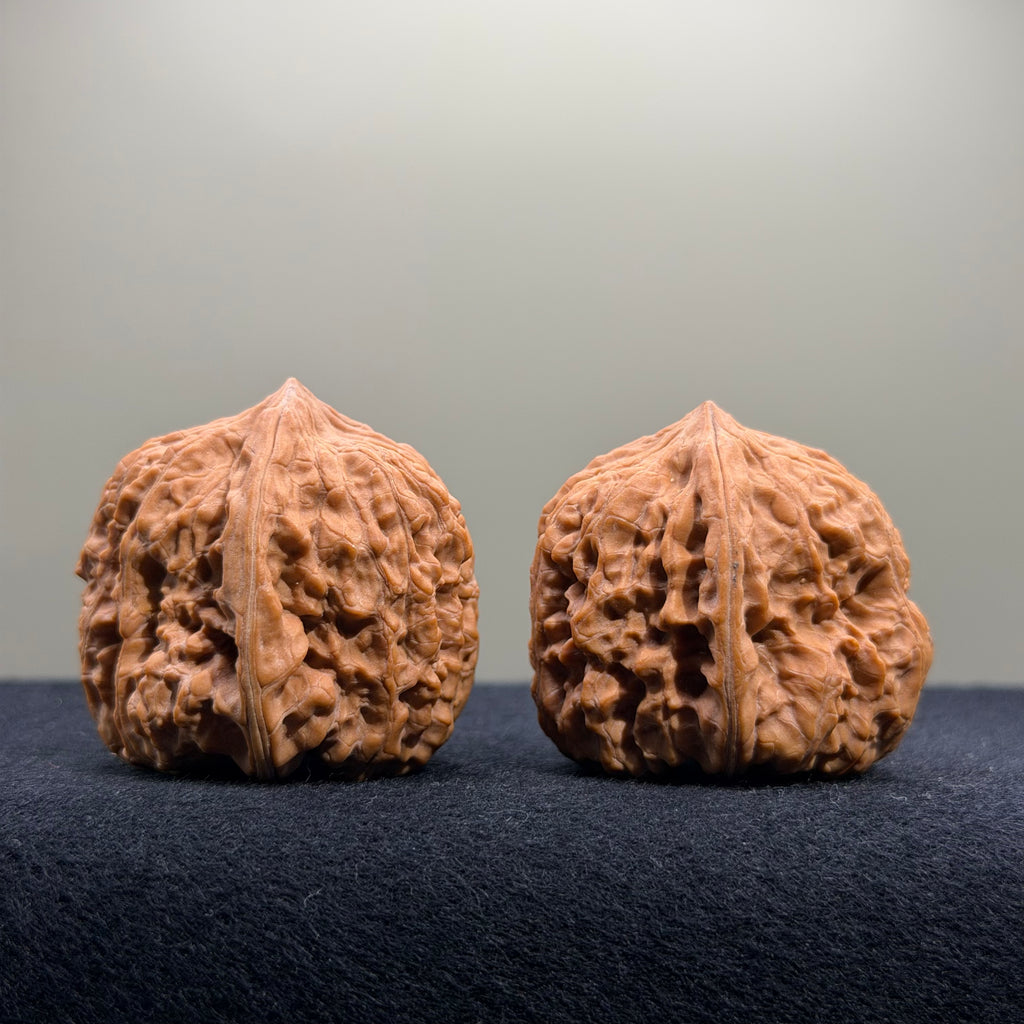 Pinggu Concave Base Wenwan Walnut · 35mm · Natural · Premium Ritual