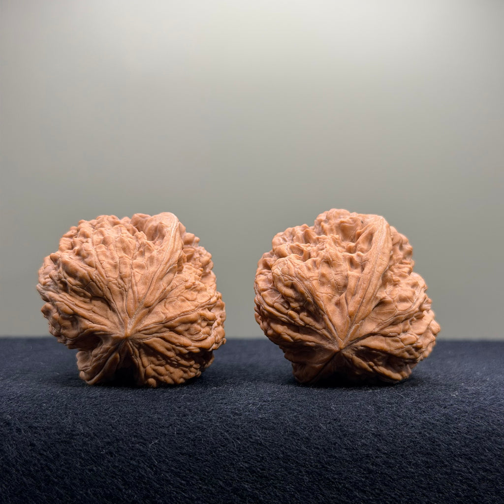 Pinggu Concave Base Wenwan Walnut · 35mm · Natural · Premium Ritual