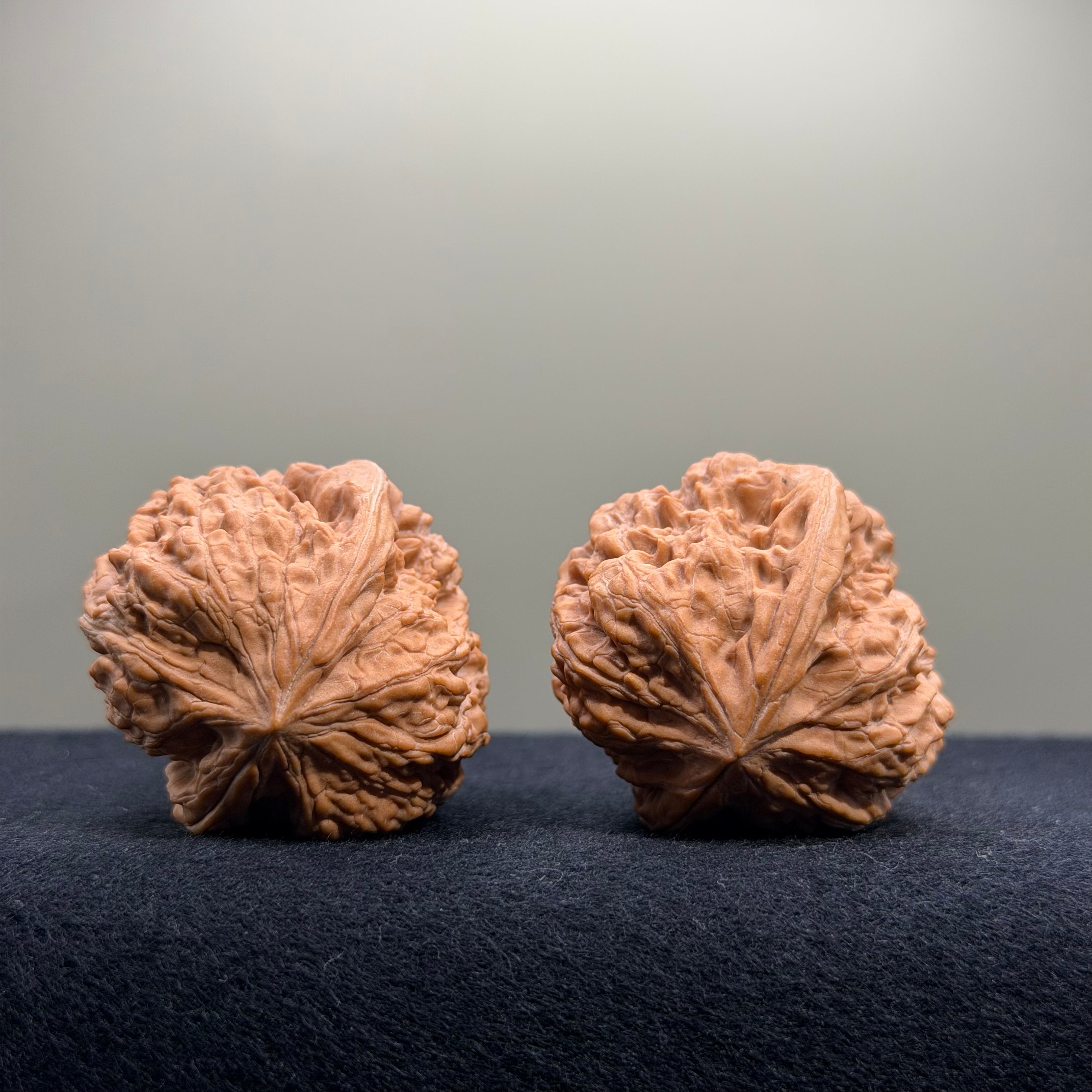 Pinggu Concave Base Wenwan Walnut · 35mm · Natural · Premium Ritual