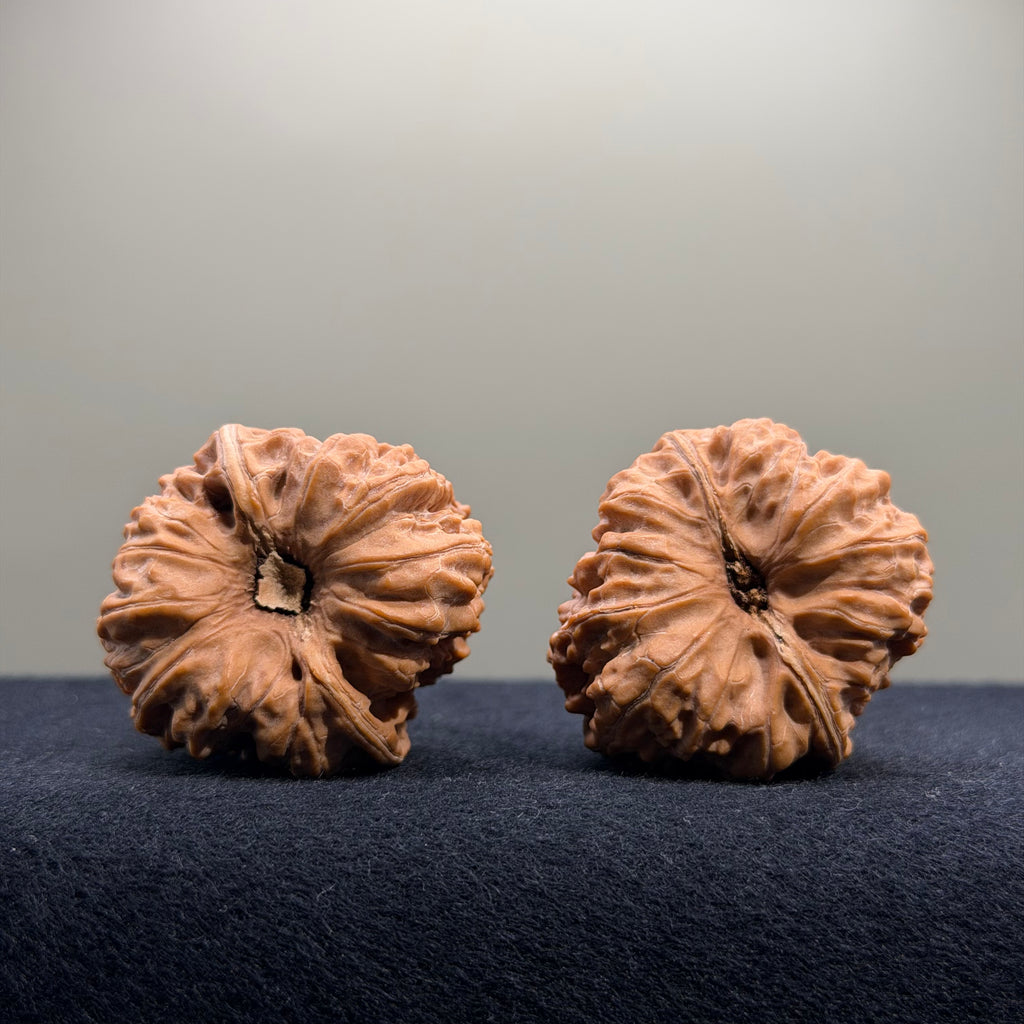 Pinggu Concave Base Wenwan Walnut · 35mm · Natural · Premium Ritual