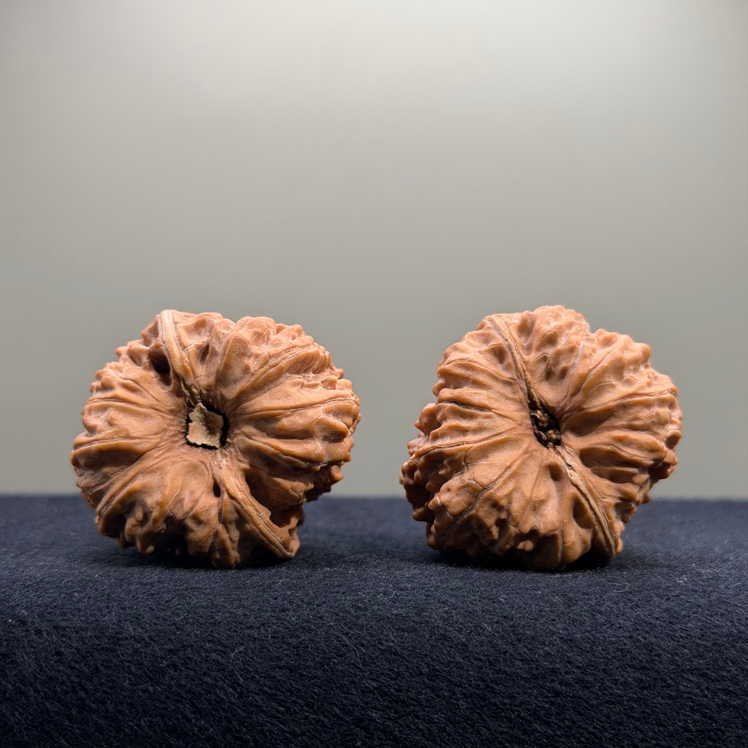 Pinggu Concave Base Wenwan Walnut · 35mm · Natural · Premium Ritual