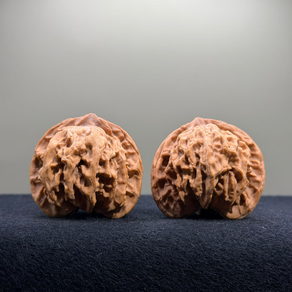Panshan Two-Ridge Wenwan Walnut · 40mm · Natural · Select Ritual