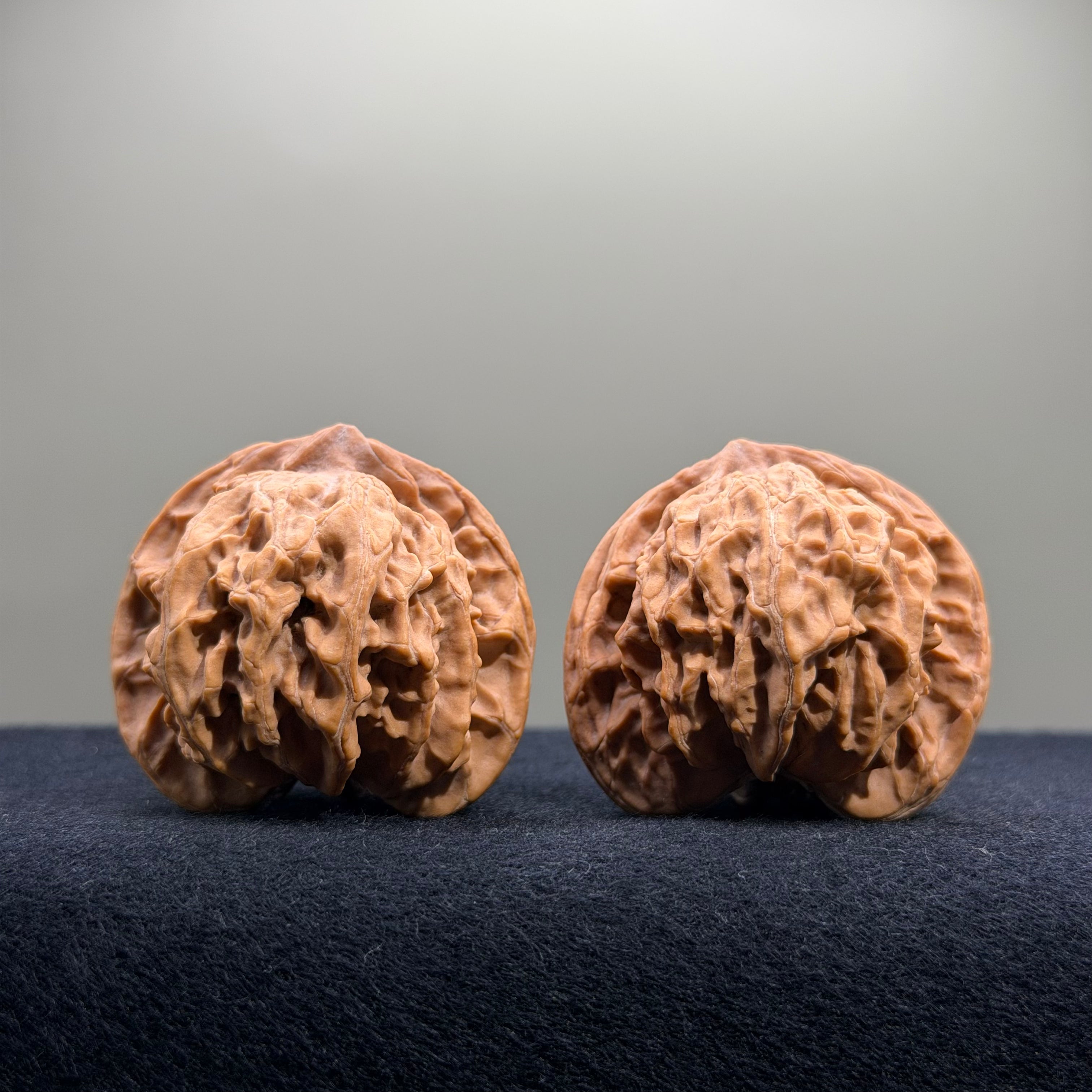 Panshan Two-Ridge Wenwan Walnut · 40mm · Natural · Select Ritual
