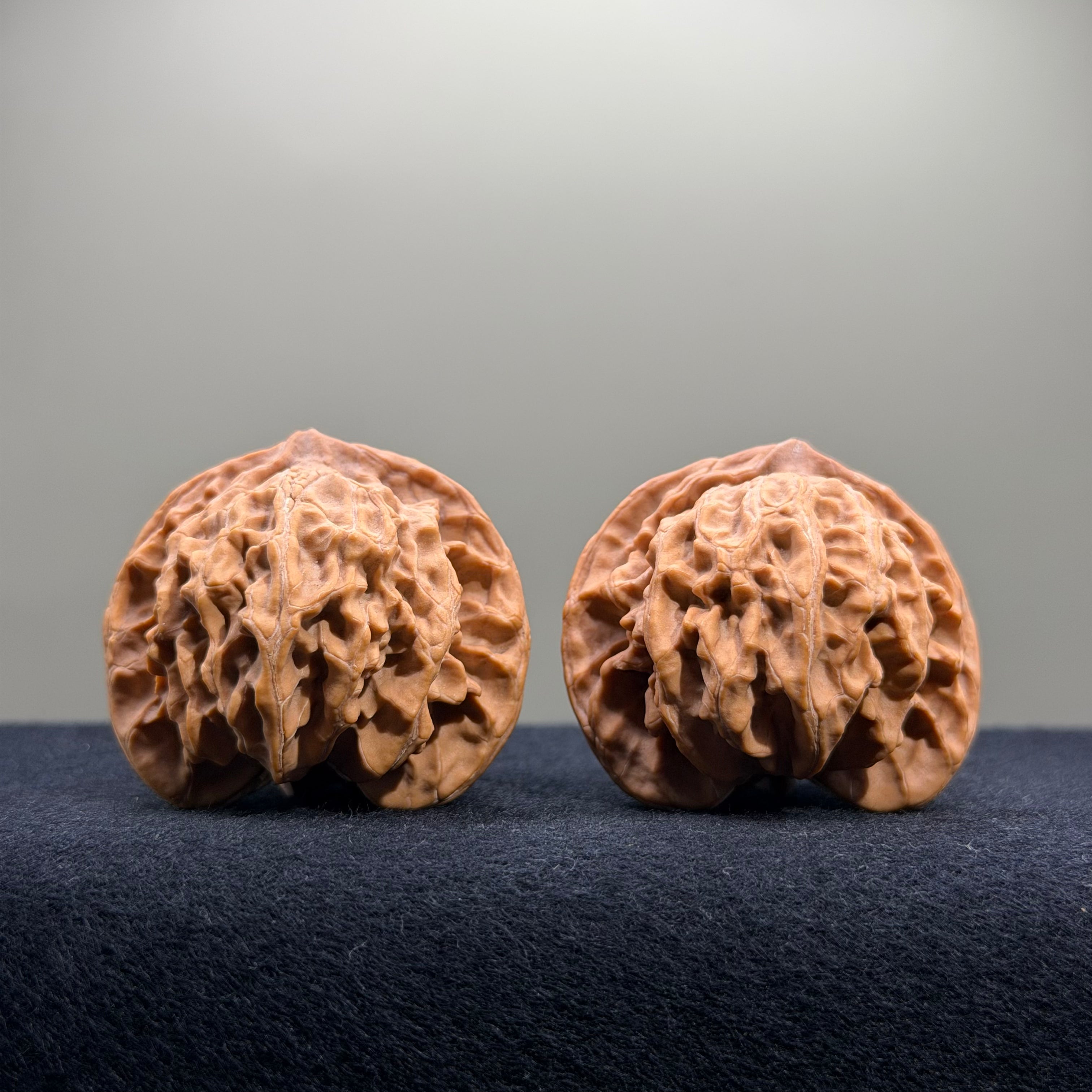 Panshan Two-Ridge Wenwan Walnut · 40mm · Natural · Select Ritual