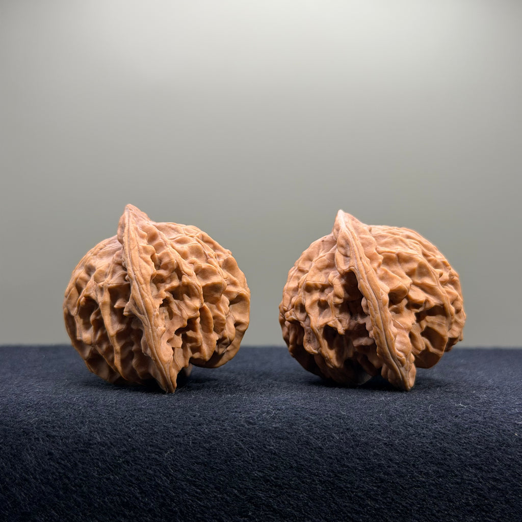 Panshan Two-Ridge Wenwan Walnut · 40mm · Natural · Select Ritual