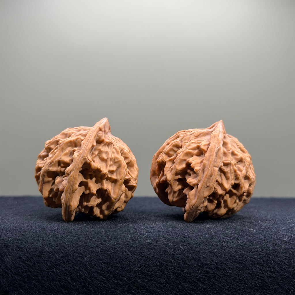 Panshan Two-Ridge Wenwan Walnut · 40mm · Natural · Select Ritual