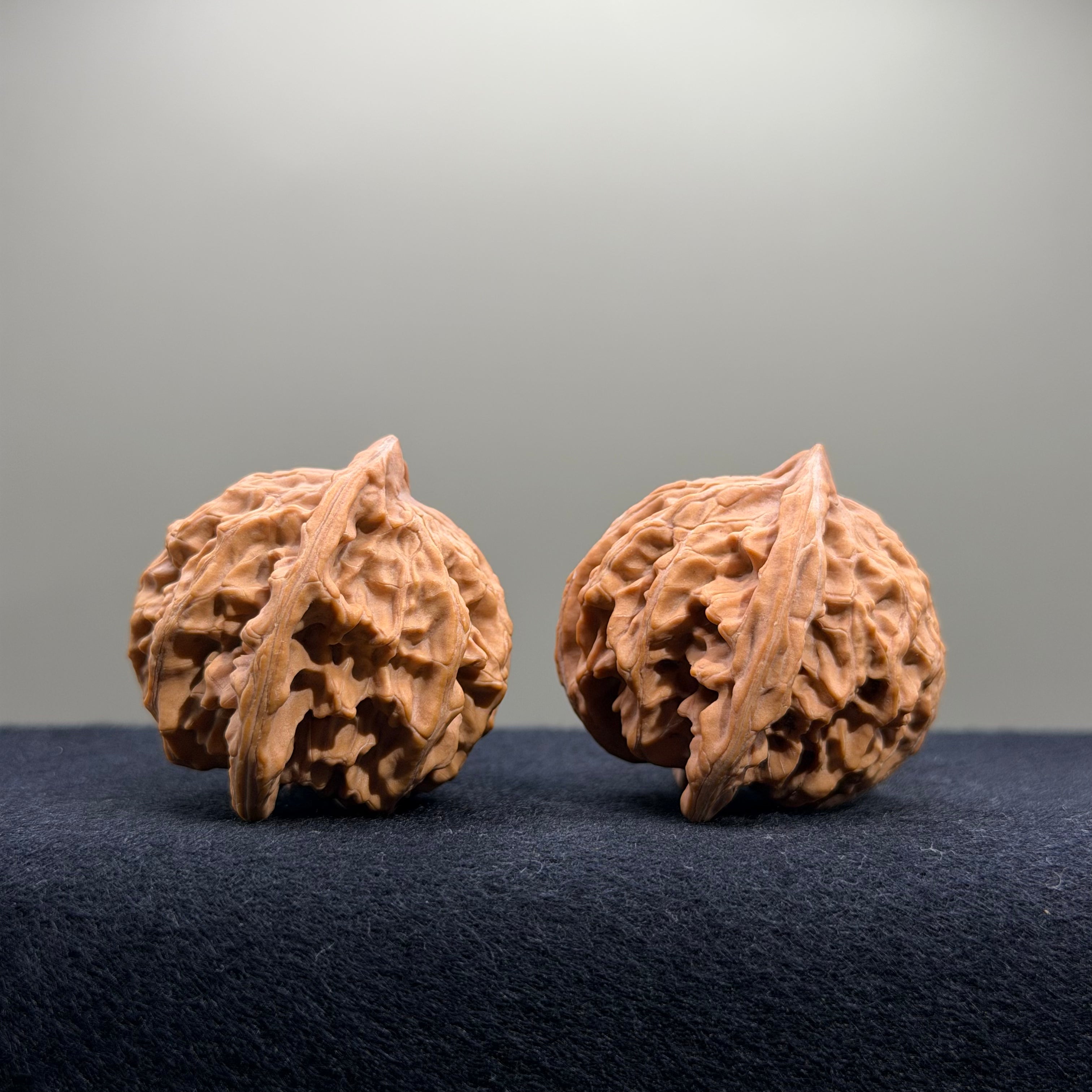 Panshan Two-Ridge Wenwan Walnut · 40mm · Natural · Select Ritual