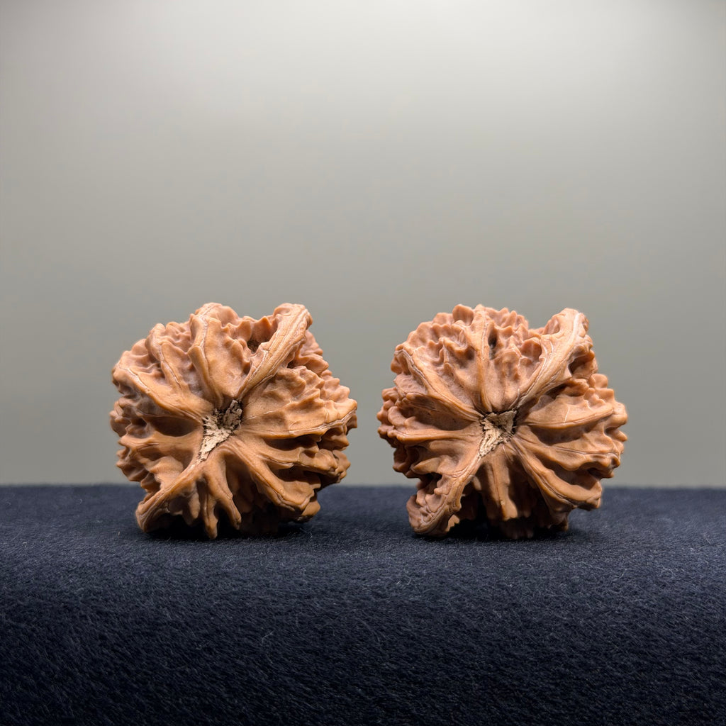 Panshan Two-Ridge Wenwan Walnut · 40mm · Natural · Select Ritual