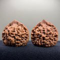 Wangyong Official Hat Wenwan Walnut · 46mm · Natural · Premium Ritual