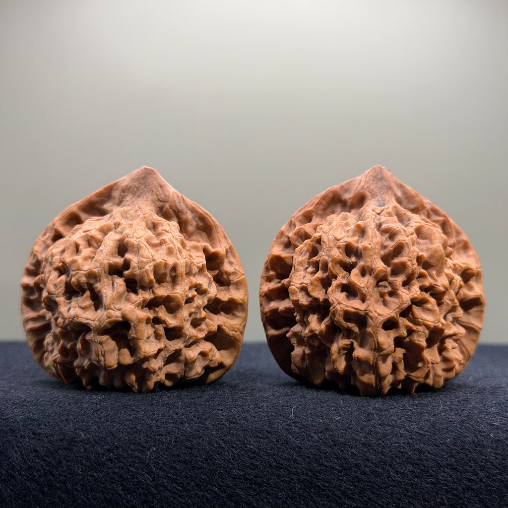 Wangyong Official Hat Wenwan Walnut · 46mm · Natural · Premium Ritual