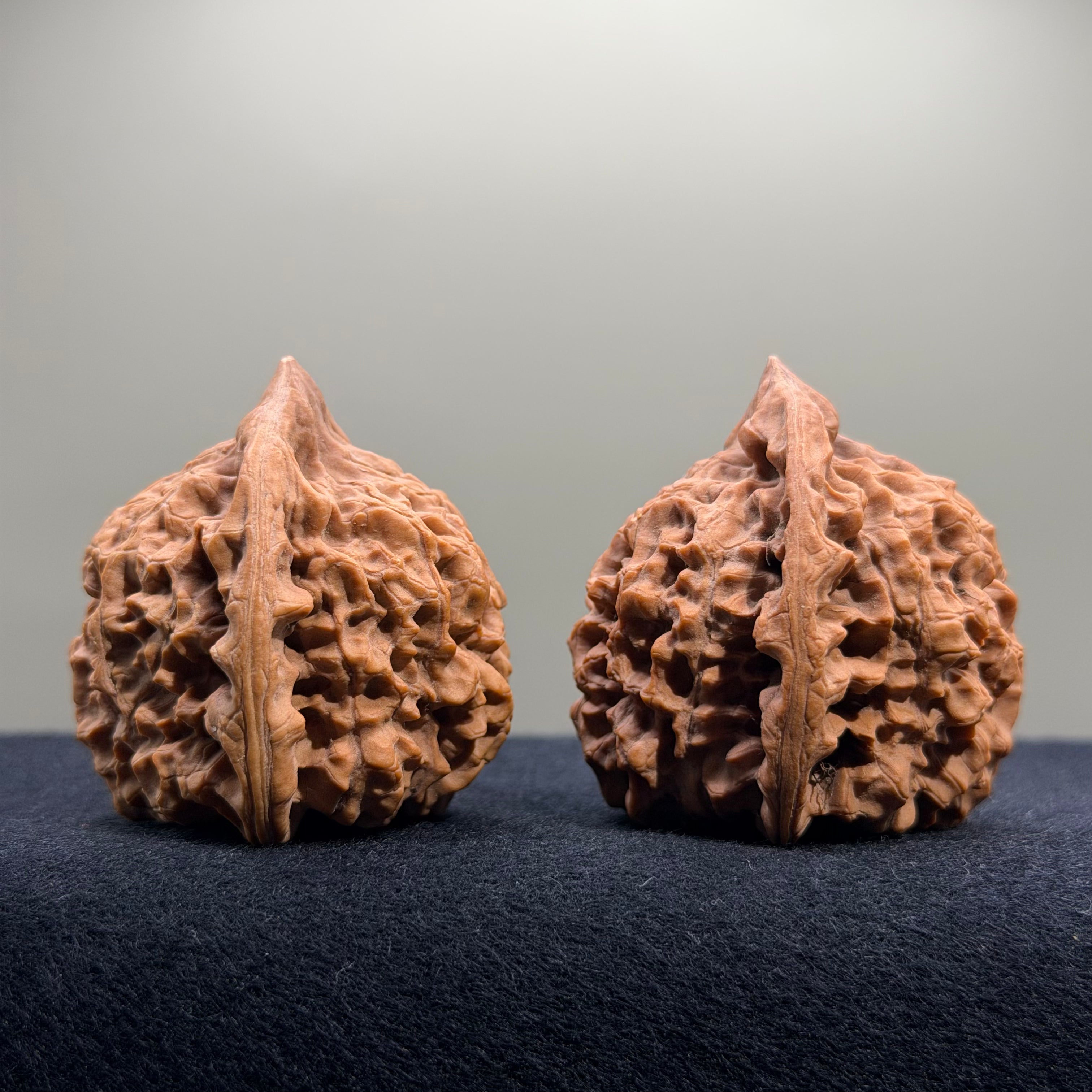 Wangyong Official Hat Wenwan Walnut · 46mm · Natural · Premium Ritual