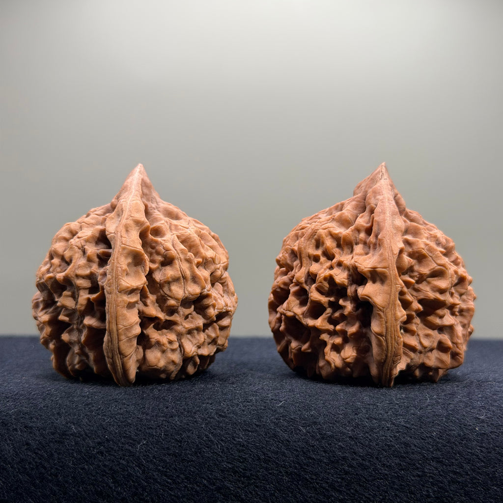 Wangyong Official Hat Wenwan Walnut · 46mm · Natural · Premium Ritual