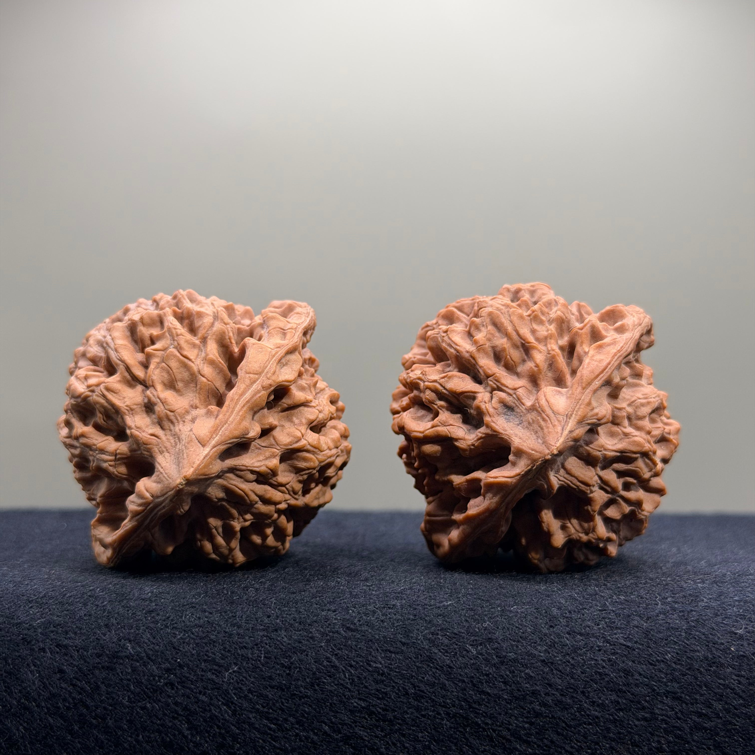 Wangyong Official Hat Wenwan Walnut · 46mm · Natural · Premium Ritual