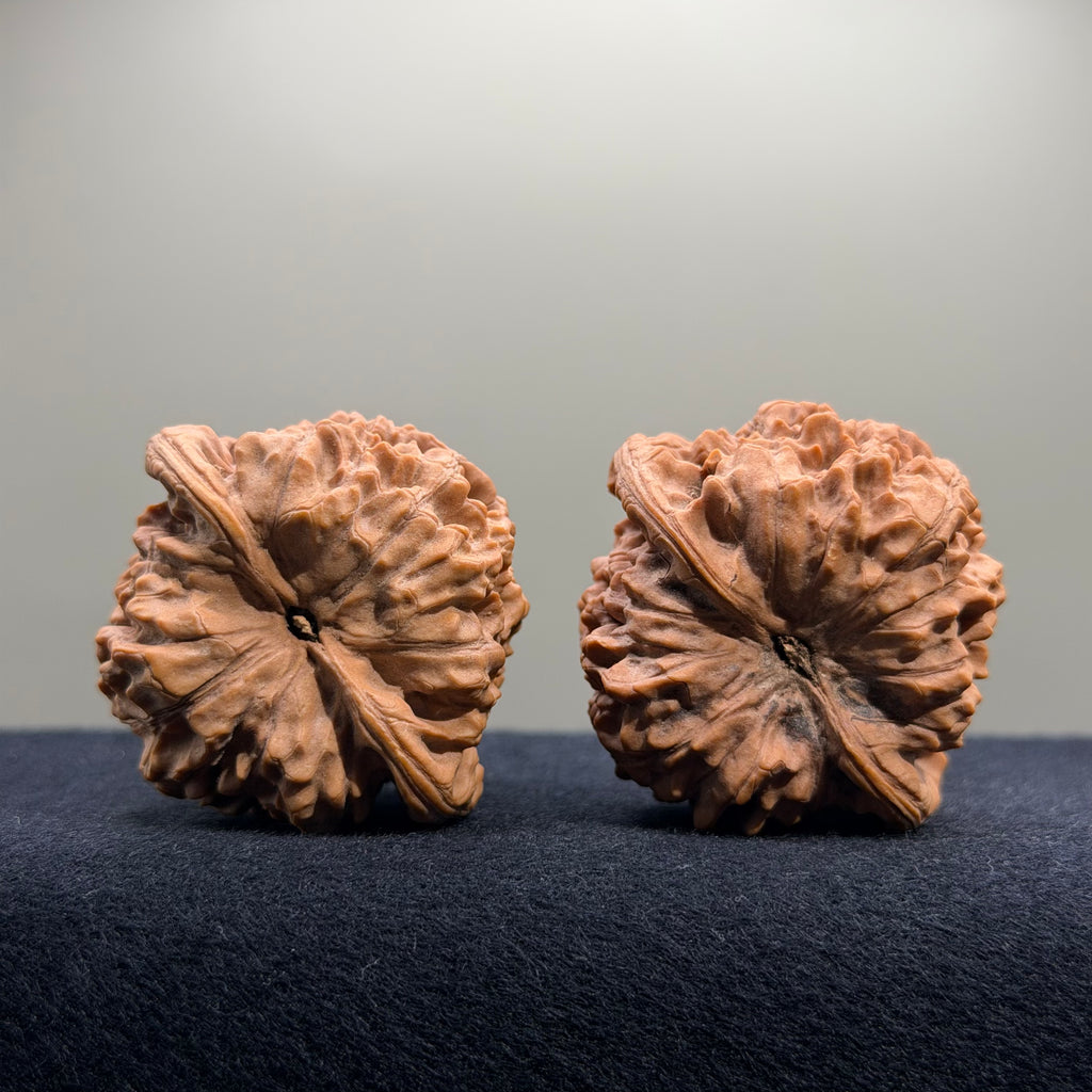 Wangyong Official Hat Wenwan Walnut · 46mm · Natural · Premium Ritual