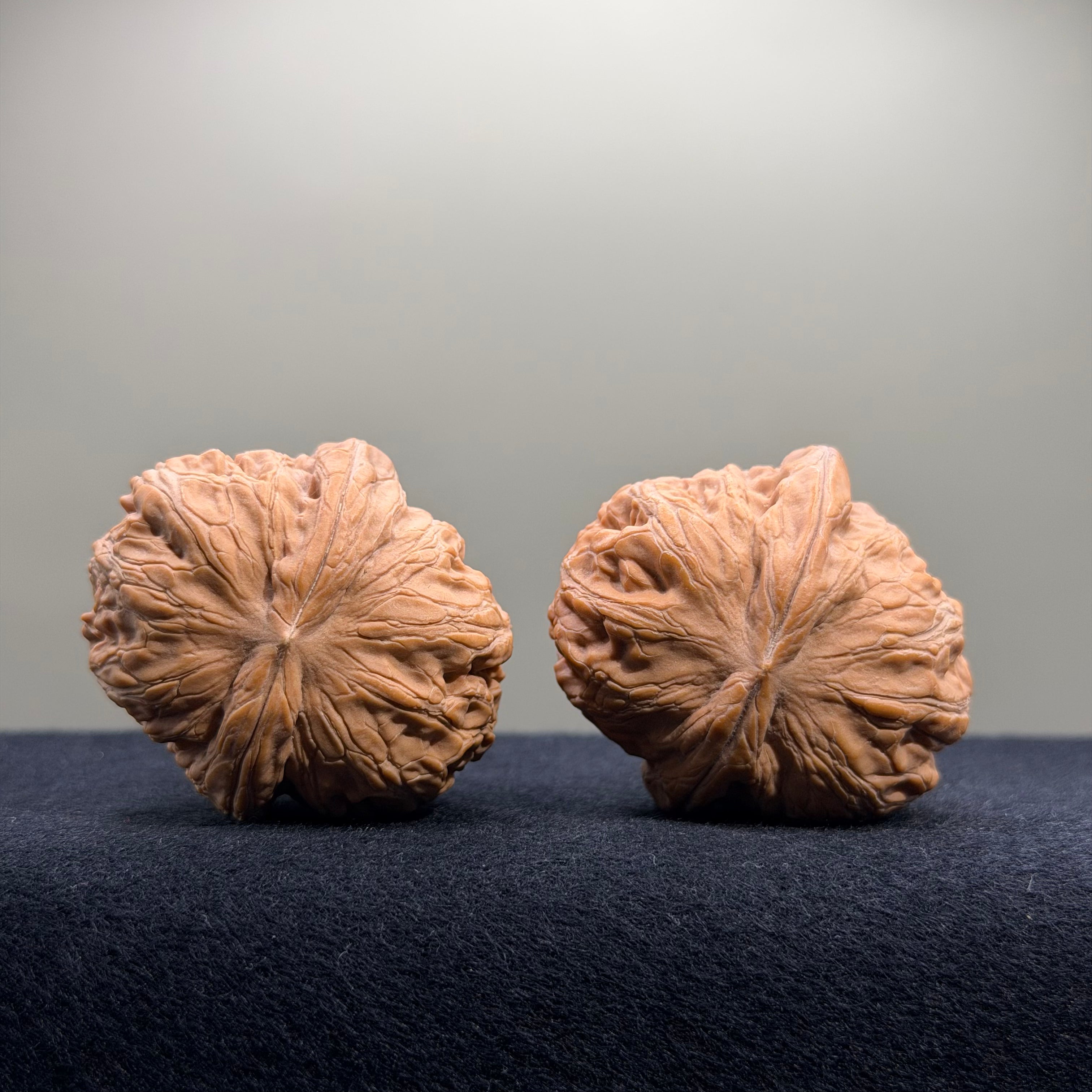 Ingot Wenwan Walnut · 40mm · Natural · Collector Ritual