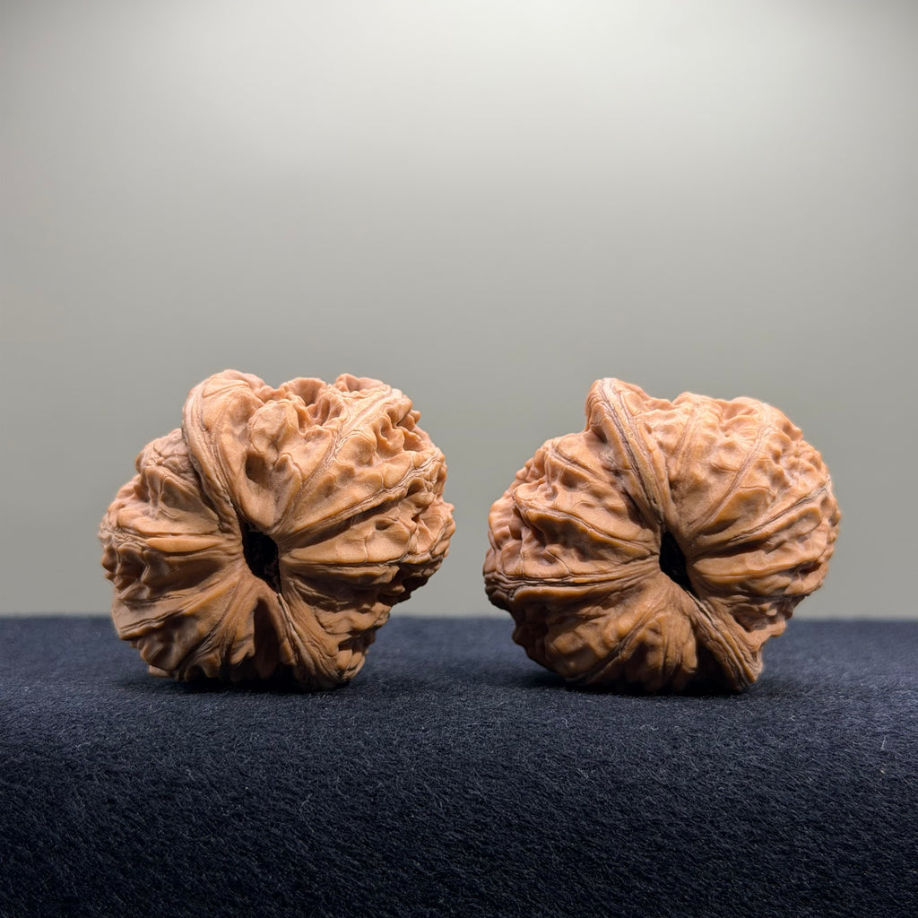 Ingot Wenwan Walnut · 40mm · Natural · Collector Ritual