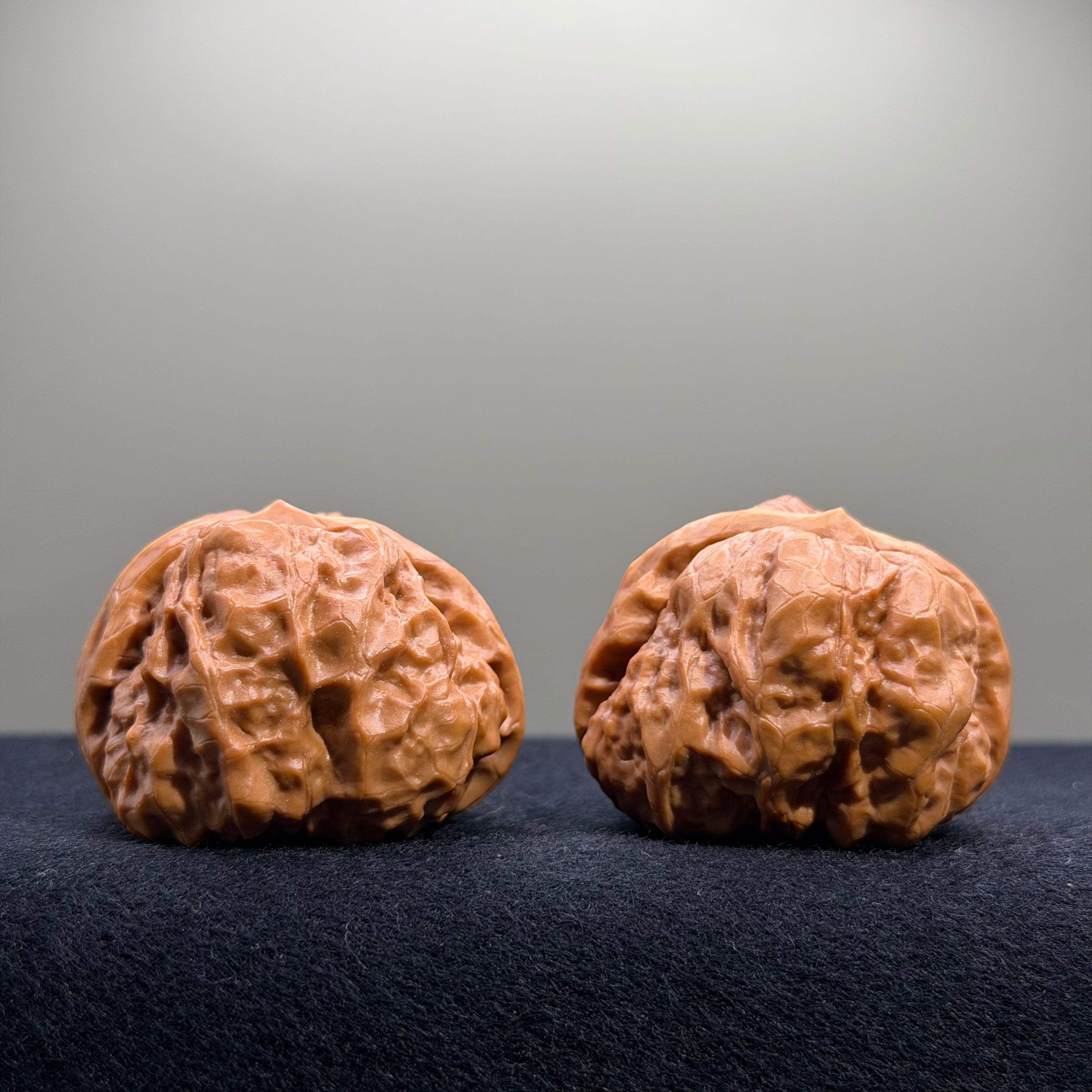 Toad Head Wenwan Walnut · 41mm · Entry Ritual