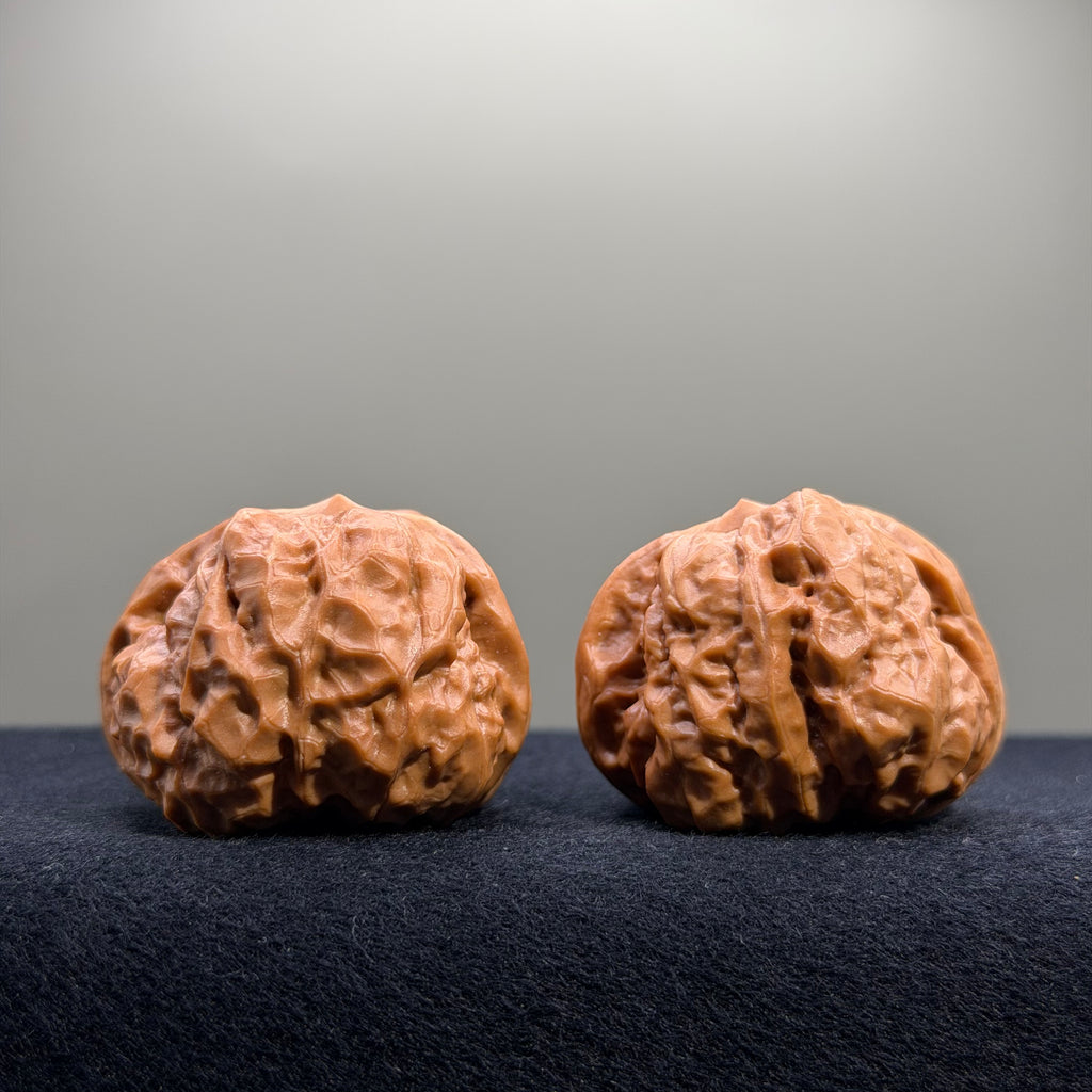 Toad Head Wenwan Walnut · 41mm · Entry Ritual