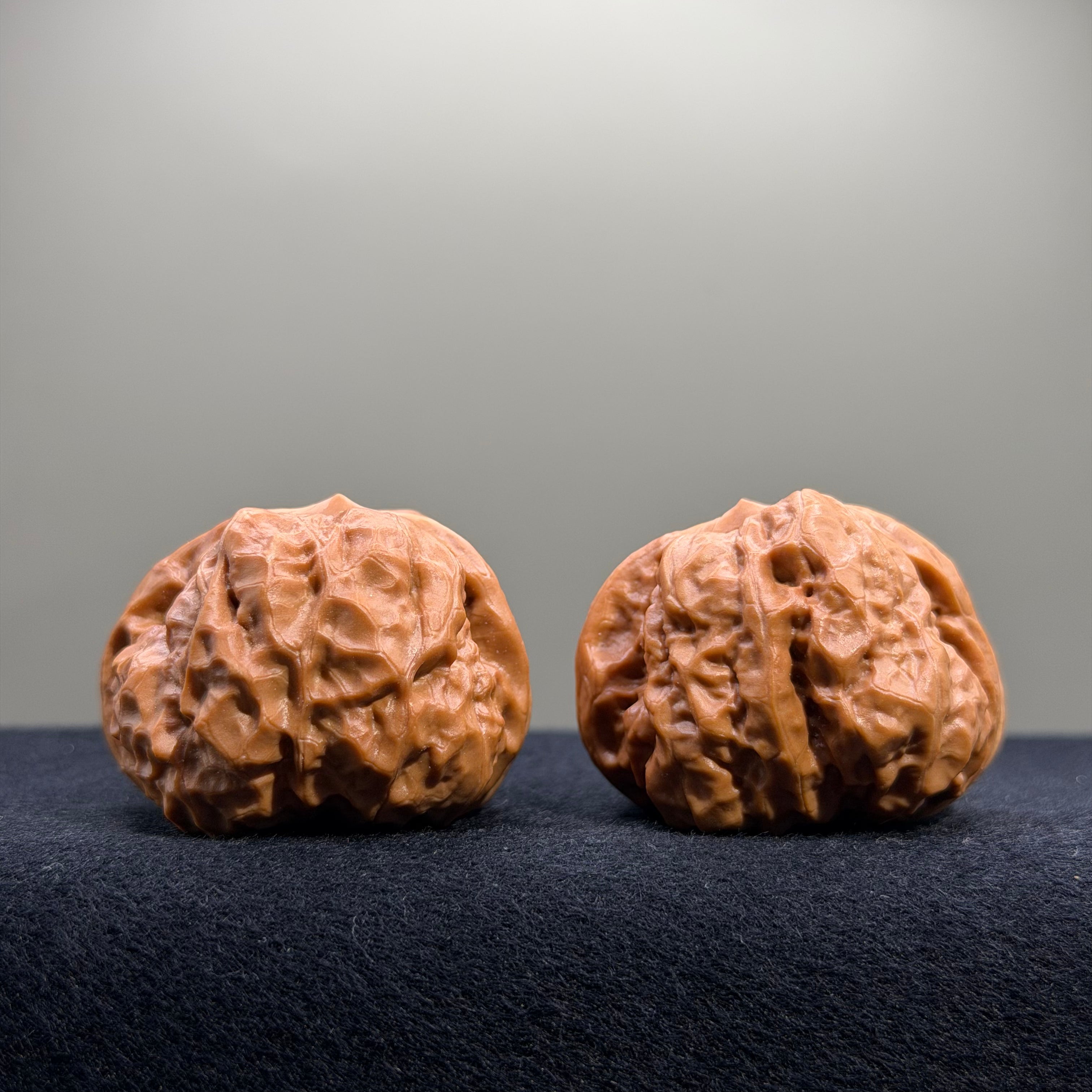 Toad Head Wenwan Walnut · 41mm · Entry Ritual