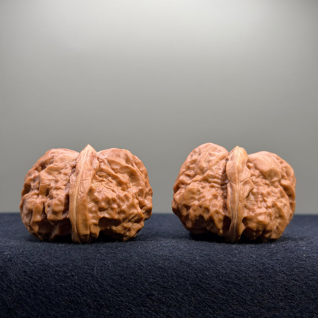 Toad Head Wenwan Walnut · 41mm · Entry Ritual