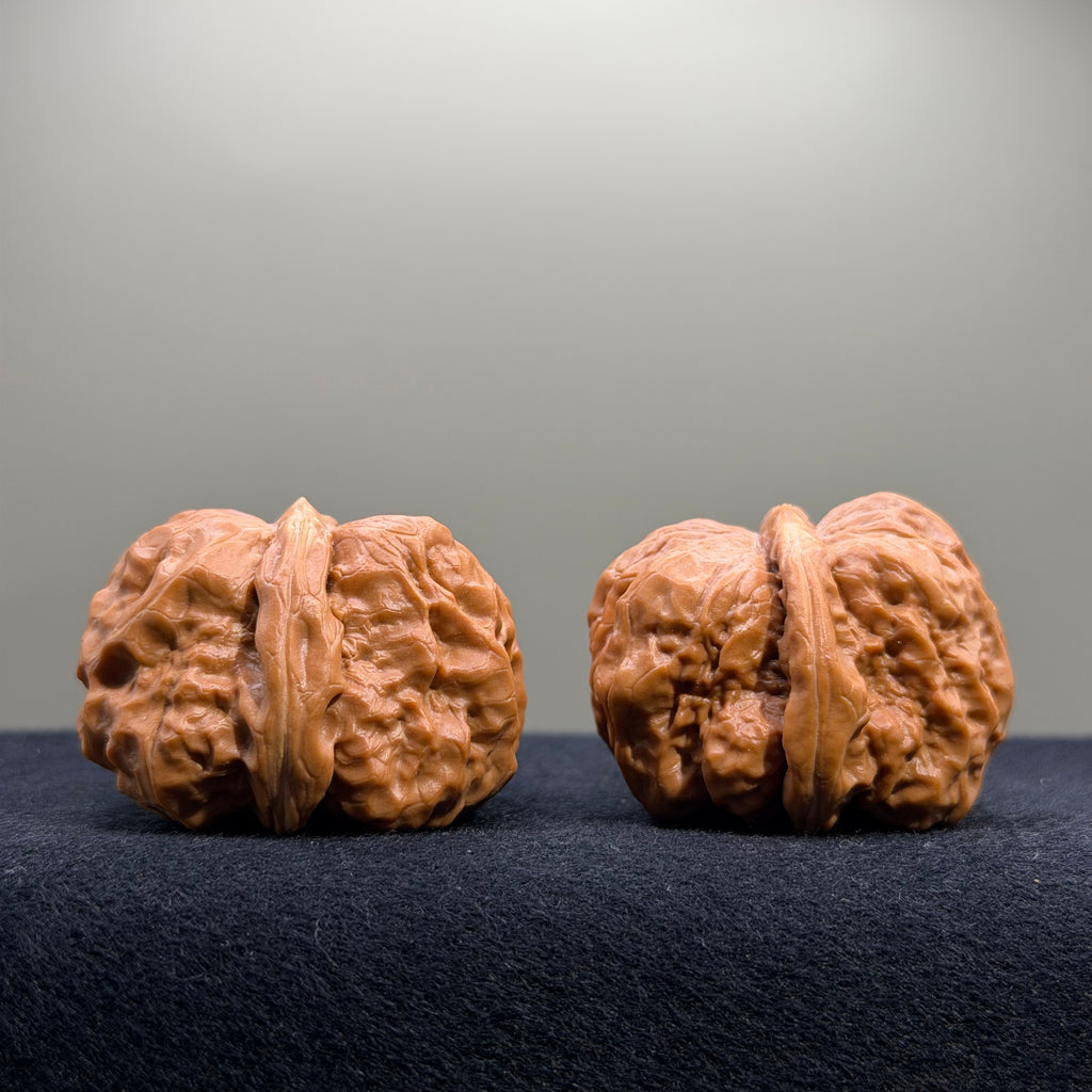Toad Head Wenwan Walnut · 41mm · Entry Ritual
