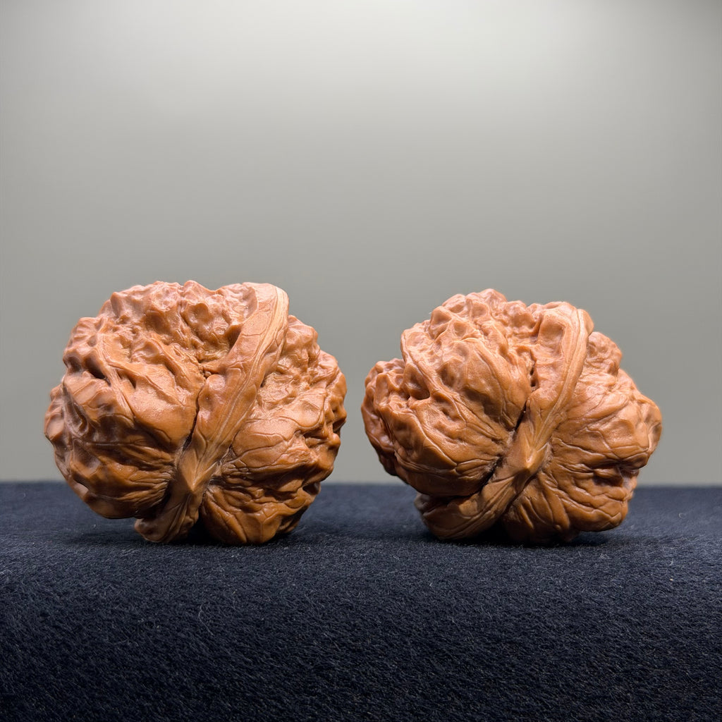 Toad Head Wenwan Walnut · 41mm · Entry Ritual