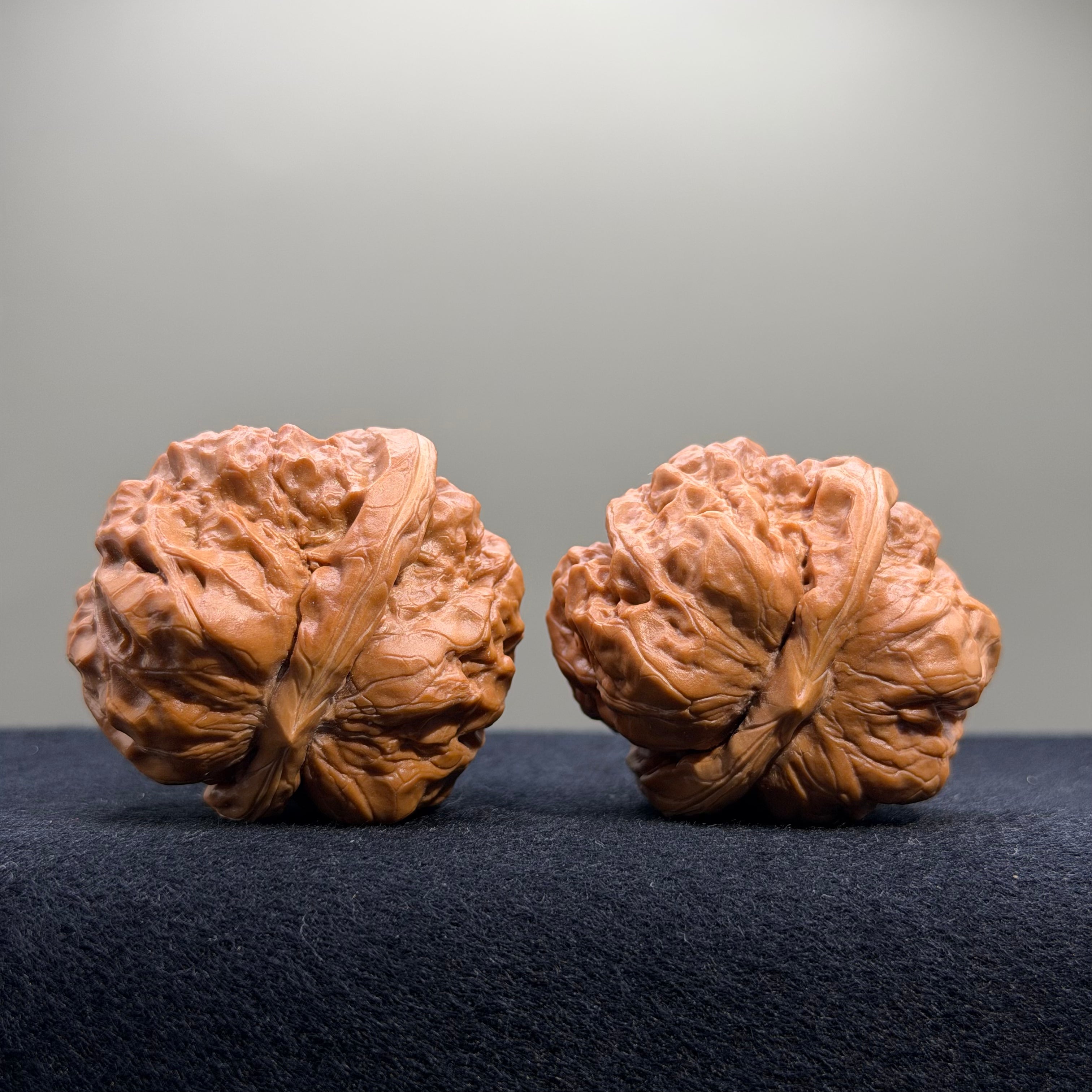 Toad Head Wenwan Walnut · 41mm · Entry Ritual