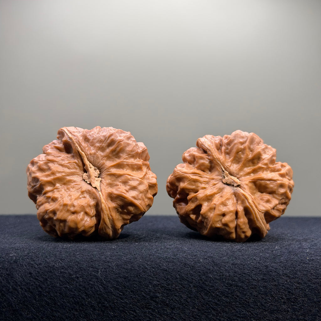 Toad Head Wenwan Walnut · 41mm · Entry Ritual