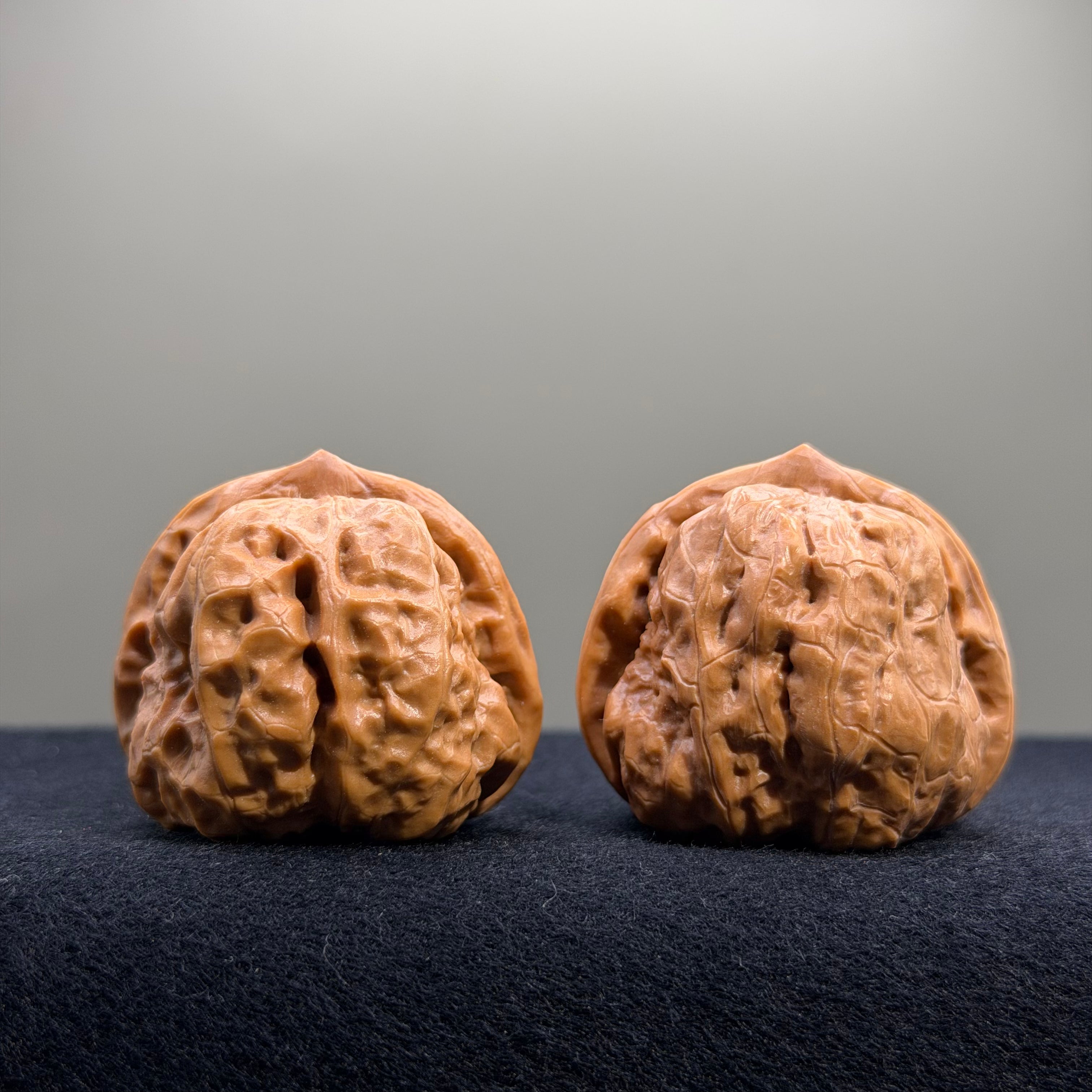Toad Head Wenwan Walnut · 38mm · Entry Ritual