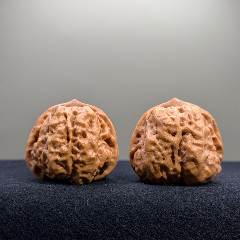 Toad Head Wenwan Walnut · 38mm · Entry Ritual