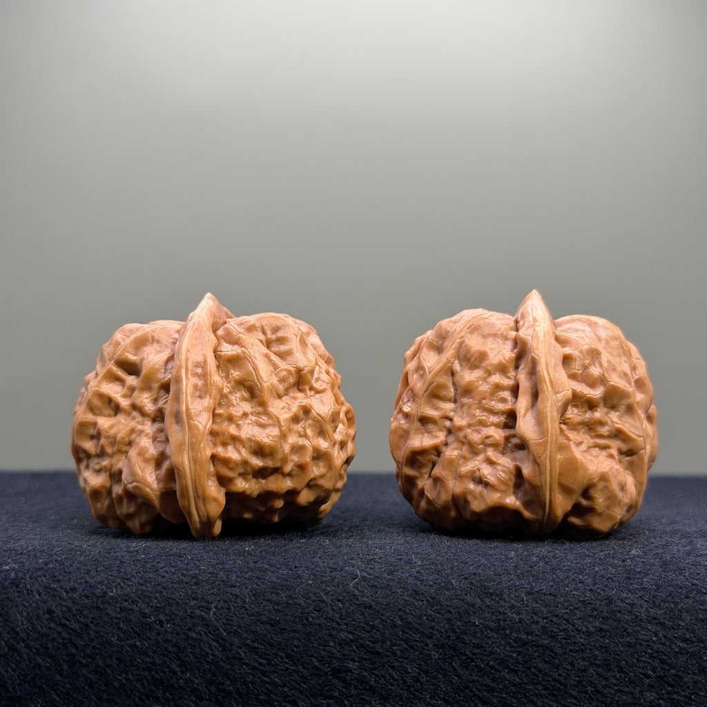 Toad Head Wenwan Walnut · 38mm · Entry Ritual