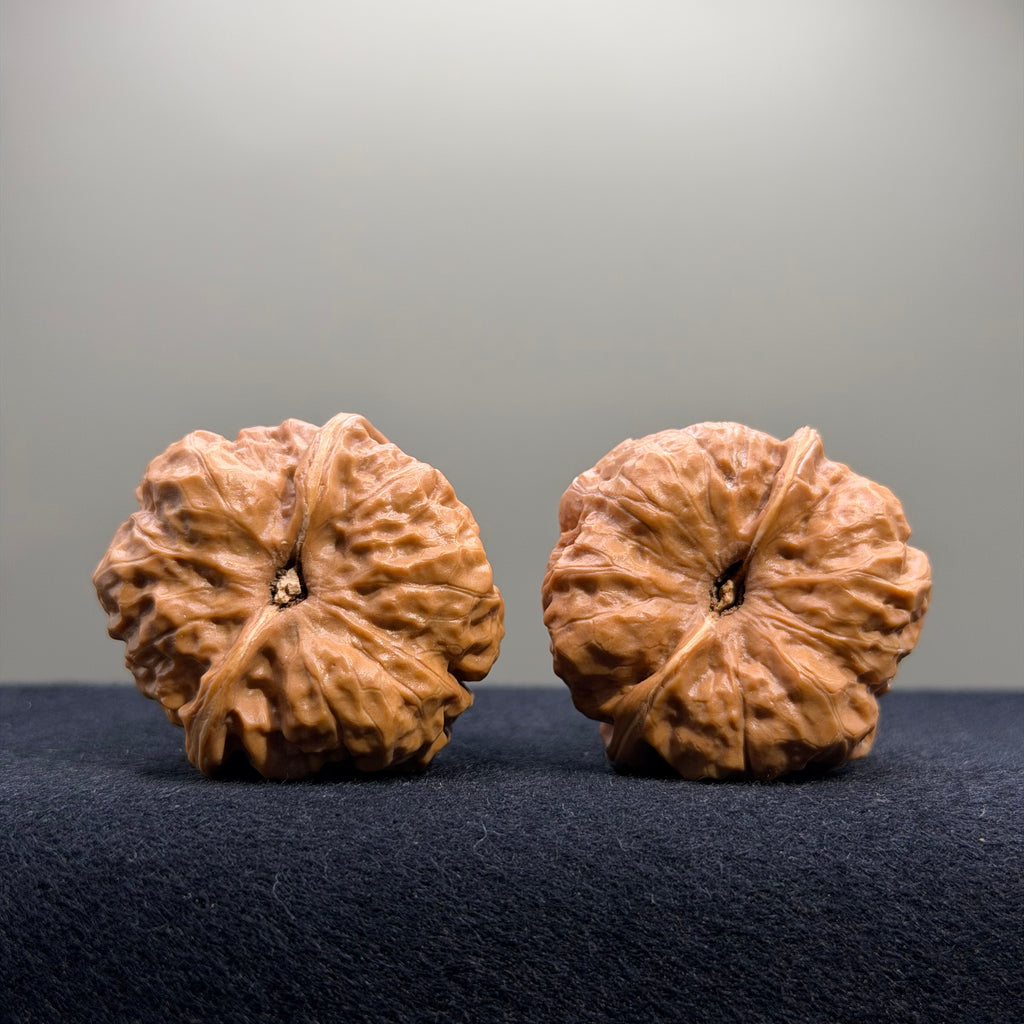 Toad Head Wenwan Walnut · 38mm · Entry Ritual