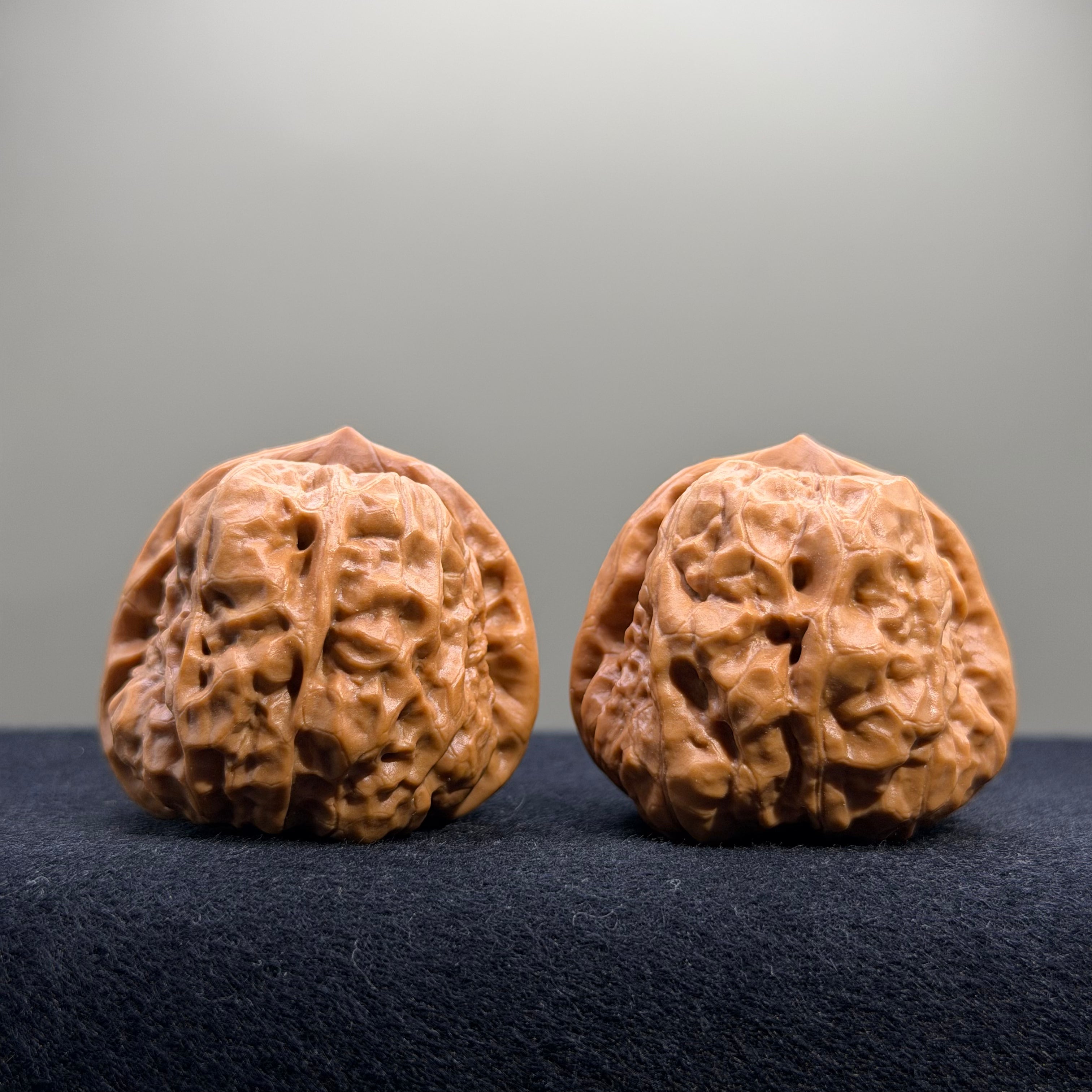 Toad Head Wenwan Walnut · 39mm · Entry Ritual