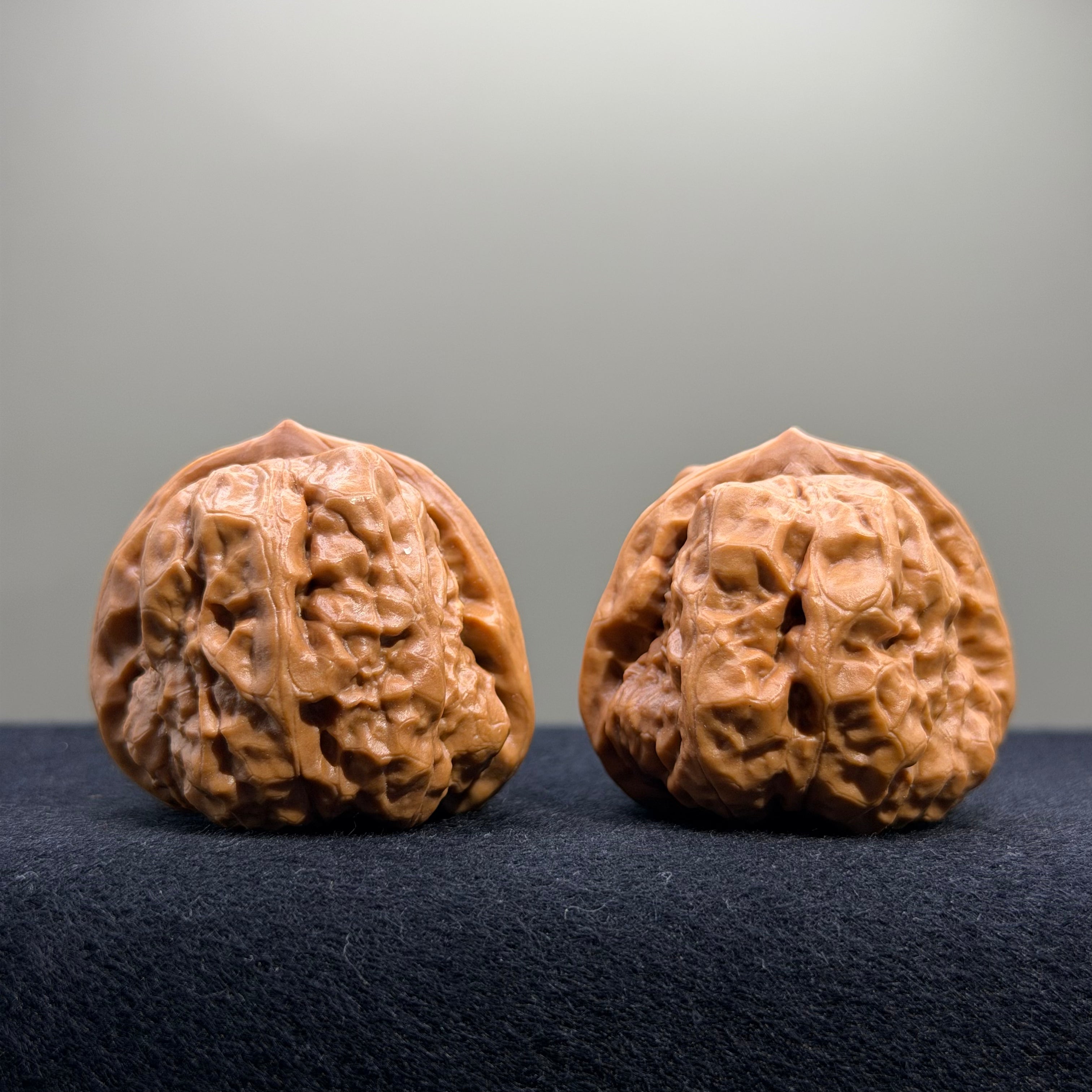 Toad Head Wenwan Walnut · 39mm · Entry Ritual