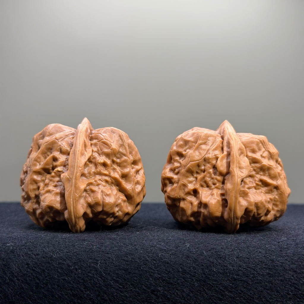 Toad Head Wenwan Walnut · 39mm · Entry Ritual