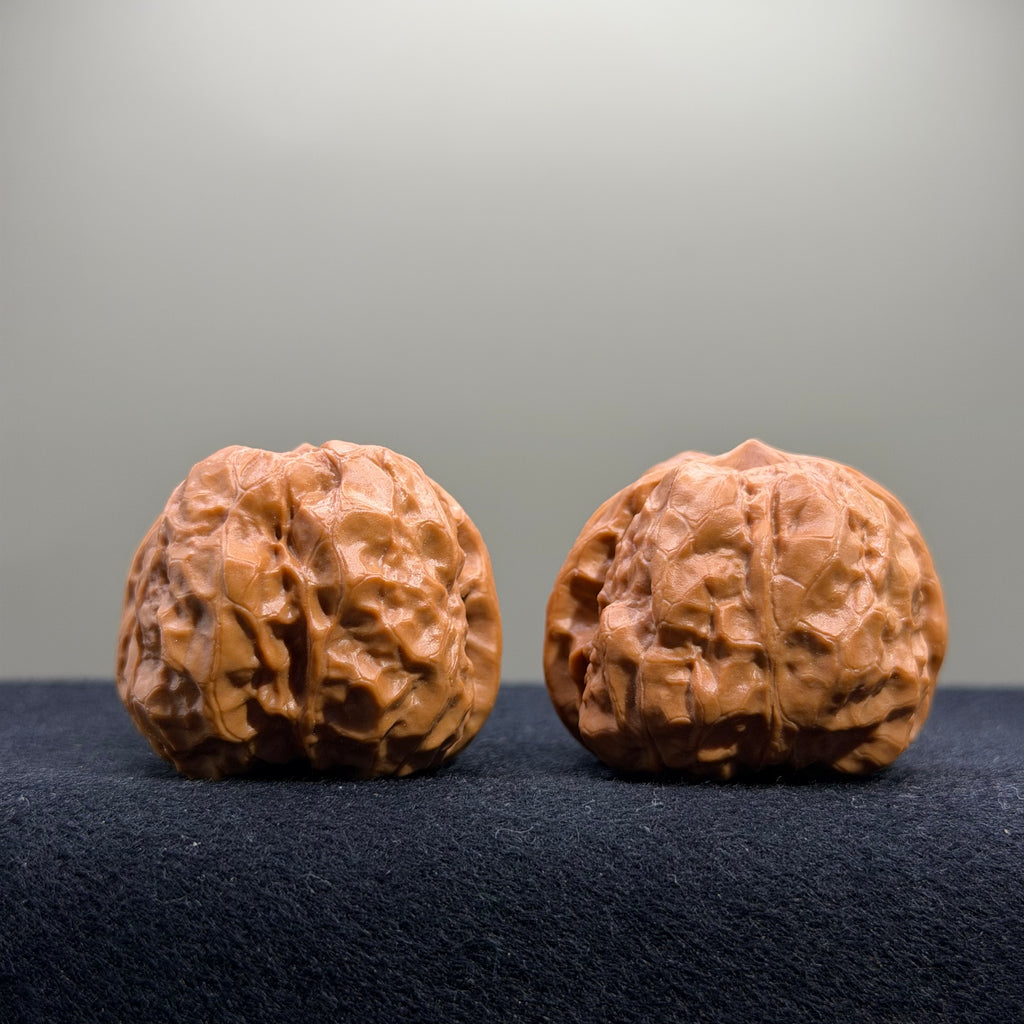 Toad Head Wenwan Walnut · 38mm · Entry Ritual