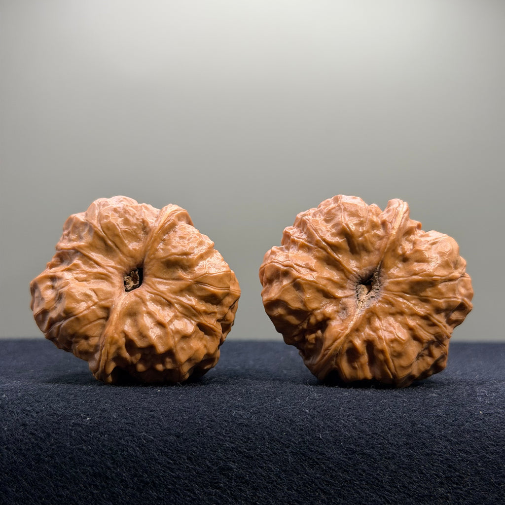 Toad Head Wenwan Walnut · 38mm · Entry Ritual