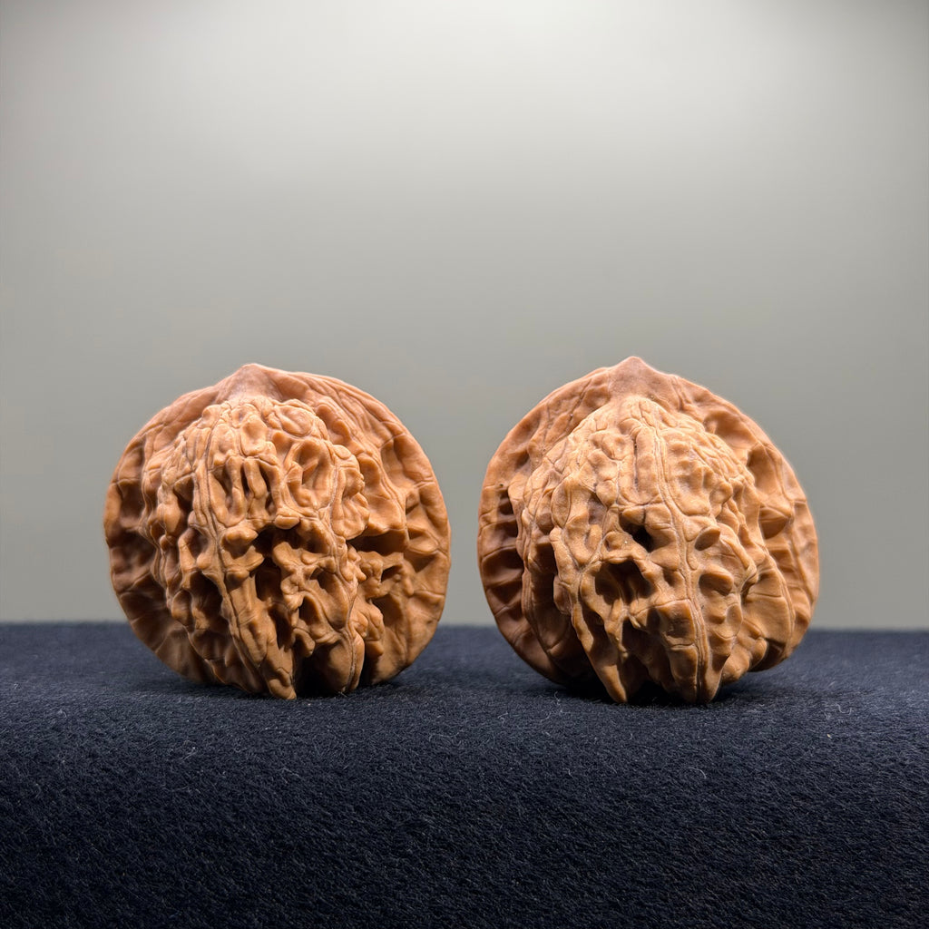 Coiled Dragon Tiger Head Wenwan Walnut · 42/41mm · Natural · Entry Ritual