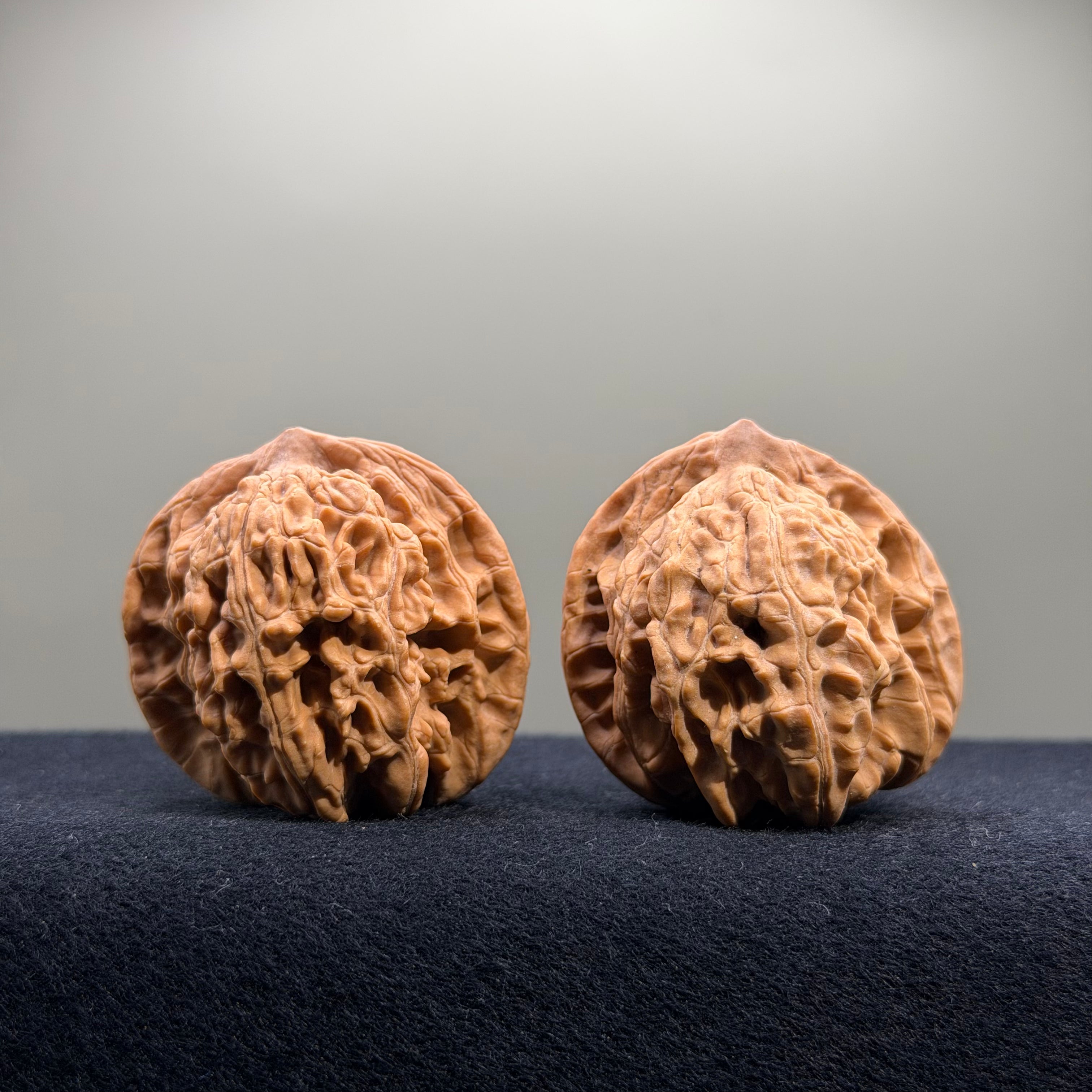 Coiled Dragon Tiger Head Wenwan Walnut · 42/41mm · Natural · Entry Ritual