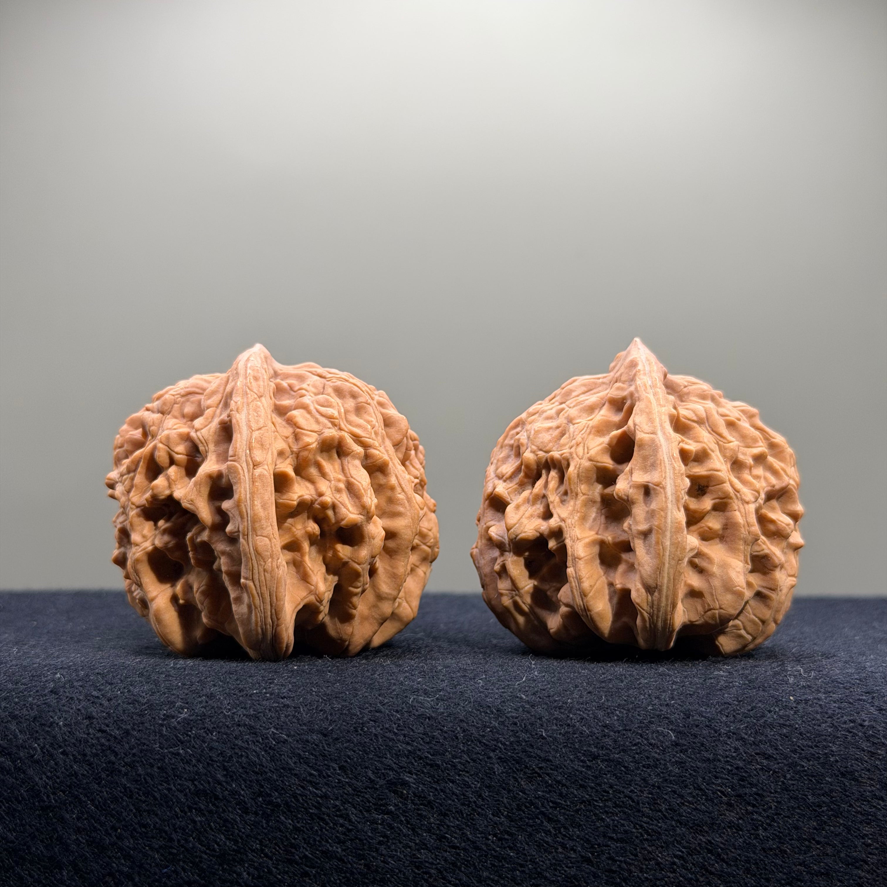 Coiled Dragon Tiger Head Wenwan Walnut · 42/41mm · Natural · Entry Ritual