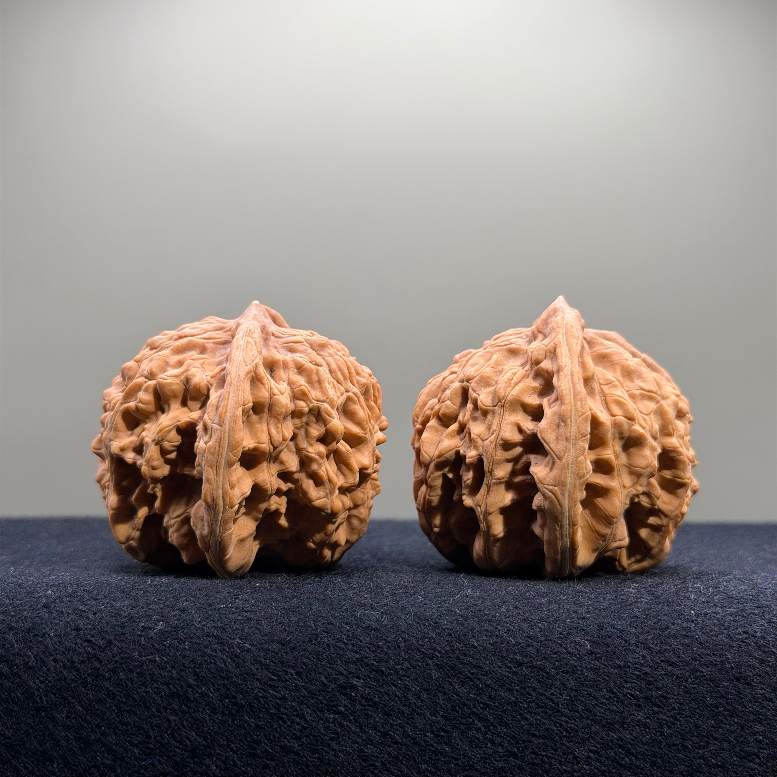 Coiled Dragon Tiger Head Wenwan Walnut · 42/41mm · Natural · Entry Ritual
