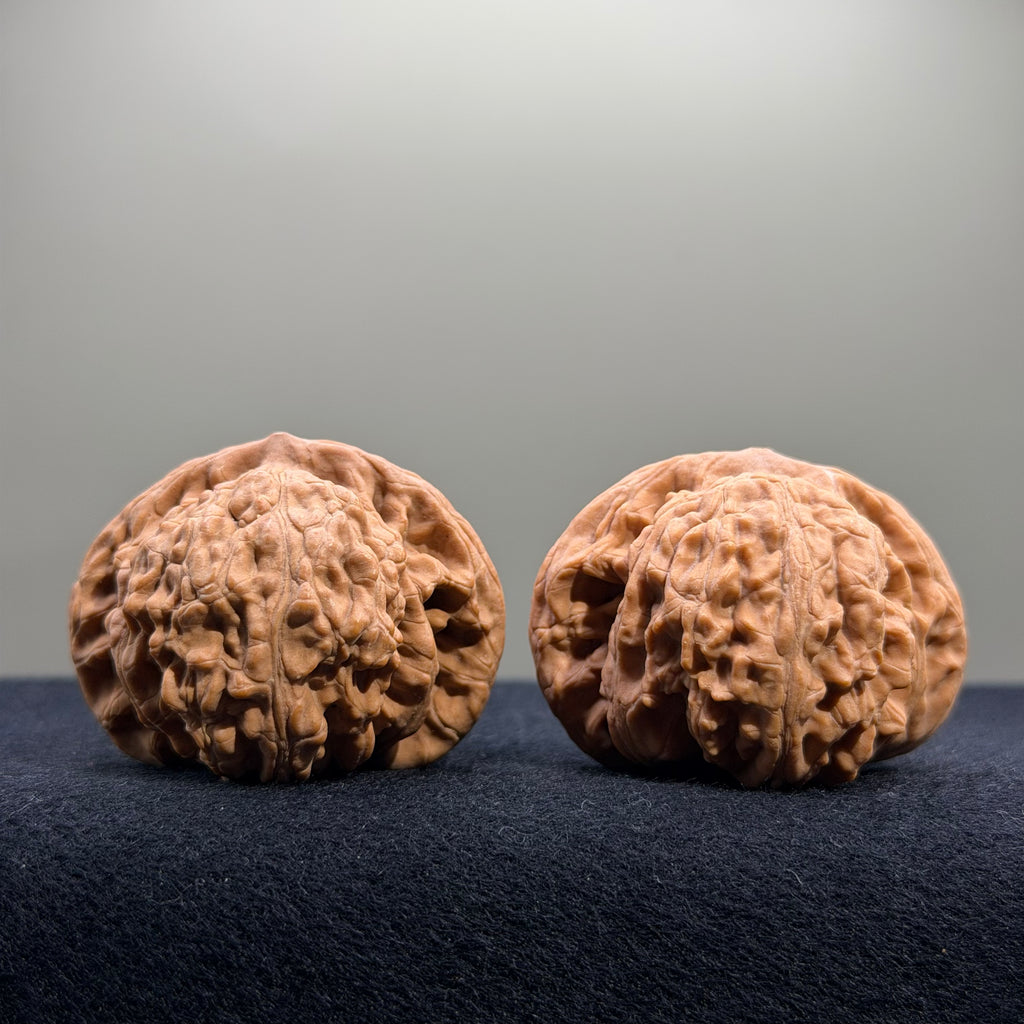 Coiled Dragon Tiger Head Wenwan Walnut · 42mm · Natural · Entry Ritual