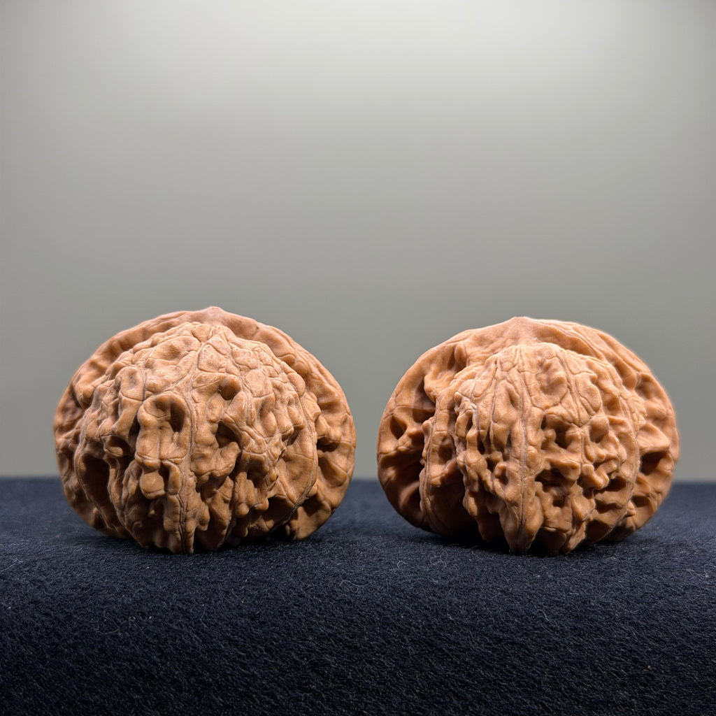 Coiled Dragon Tiger Head Wenwan Walnut · 42mm · Natural · Entry Ritual