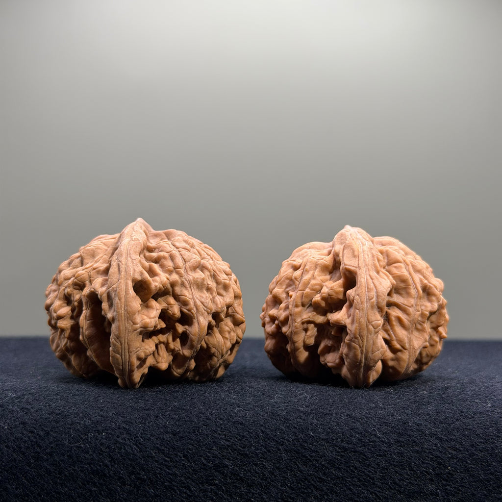 Coiled Dragon Tiger Head Wenwan Walnut · 42mm · Natural · Entry Ritual