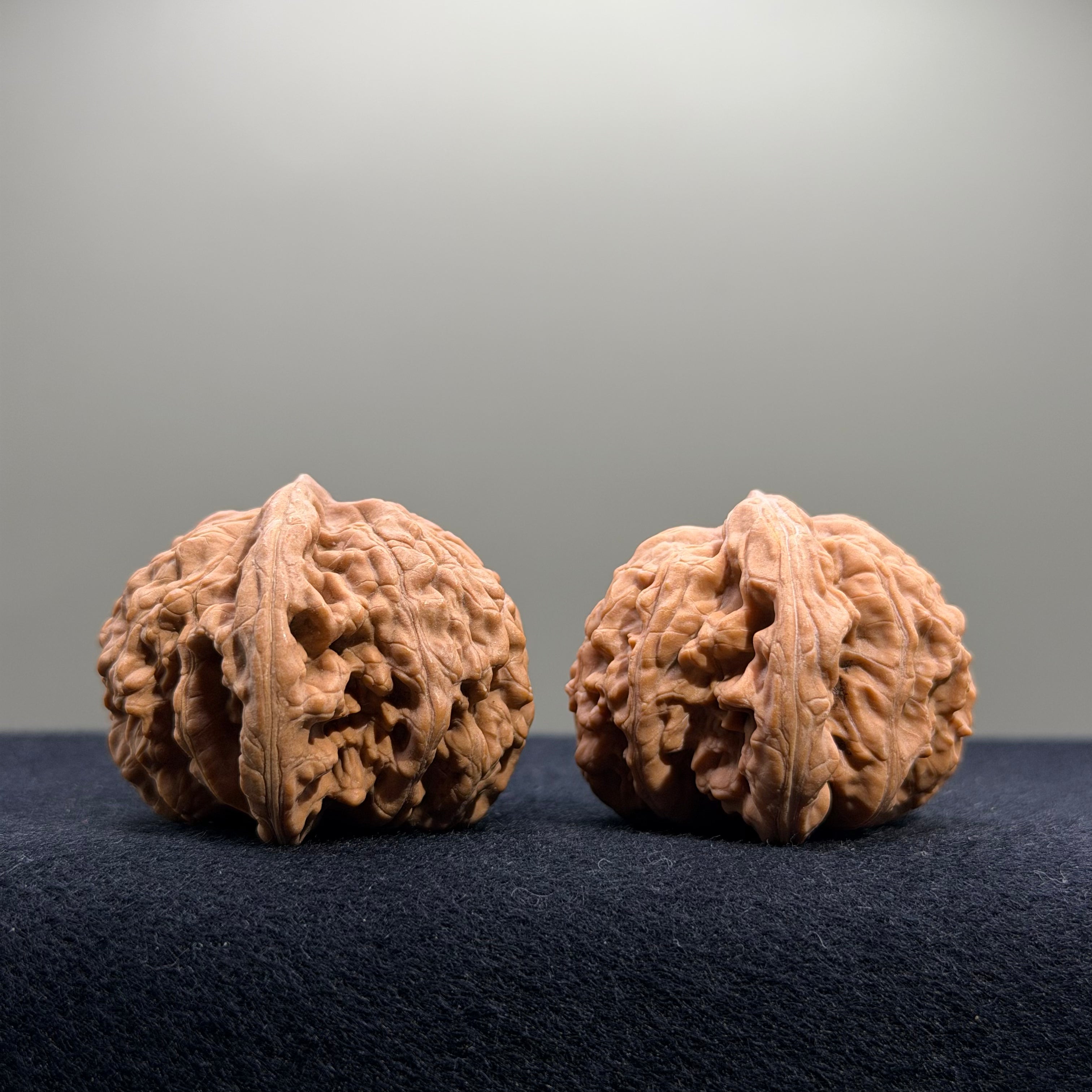 Coiled Dragon Tiger Head Wenwan Walnut · 42mm · Natural · Entry Ritual